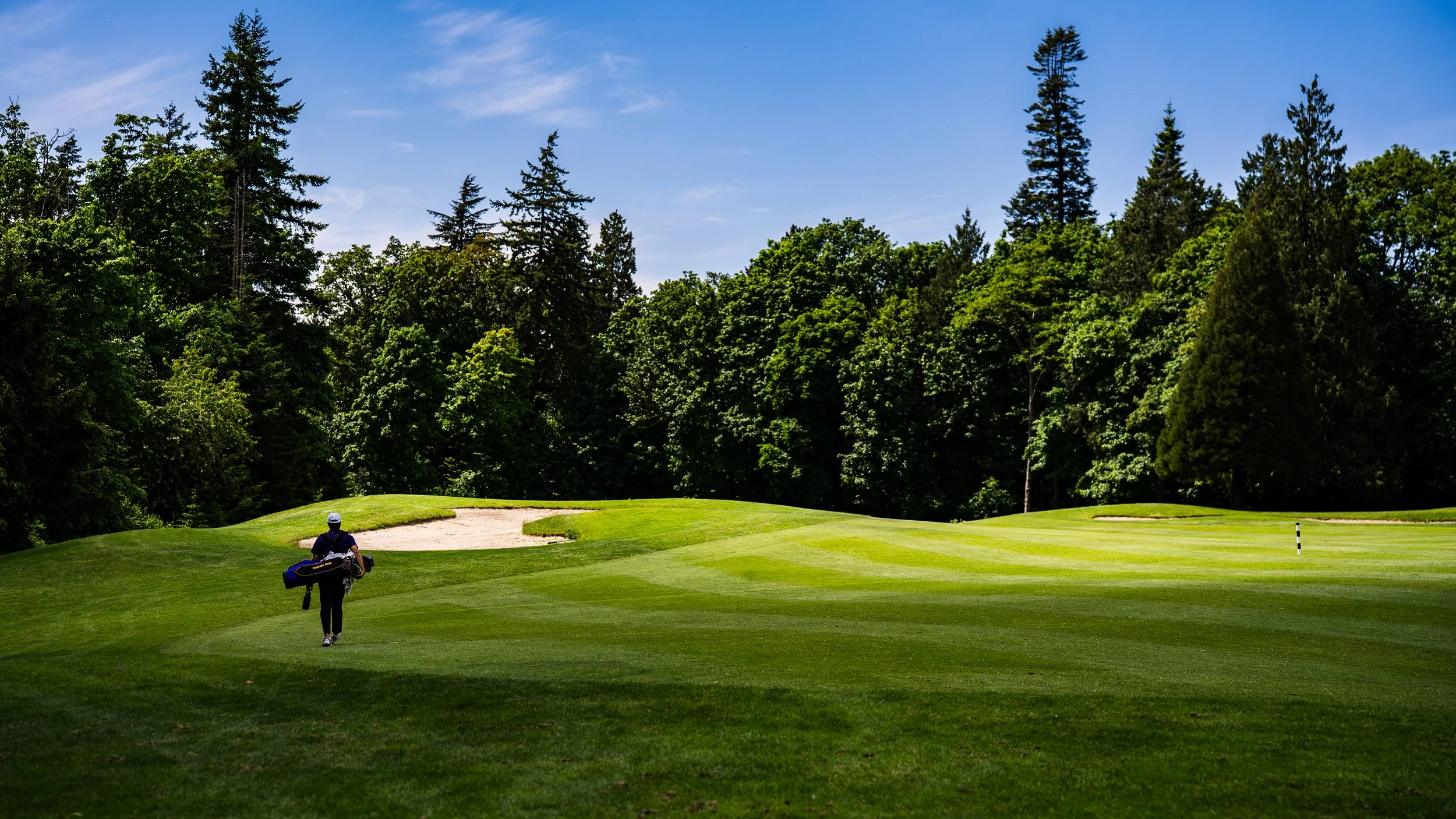A person walking on a golf course holding a golf bag with woods and irons, surrounded by lush green grass, trees, and a sand trap with a clear blue sky overhead.