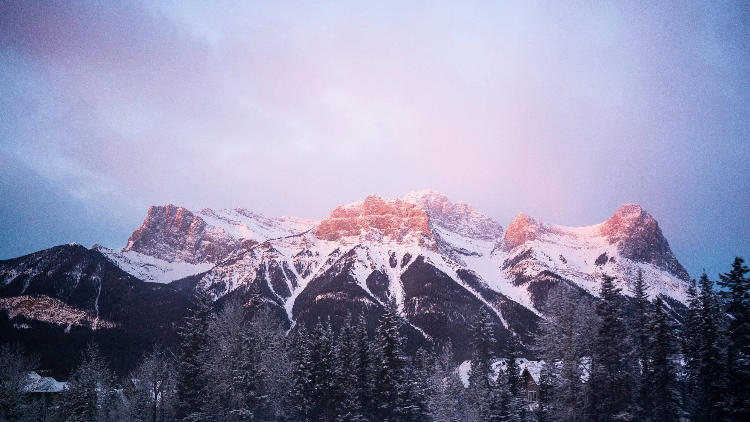 Snow-covered mountain ranges at sunset with a pinkish sky and dense forest in the foreground.