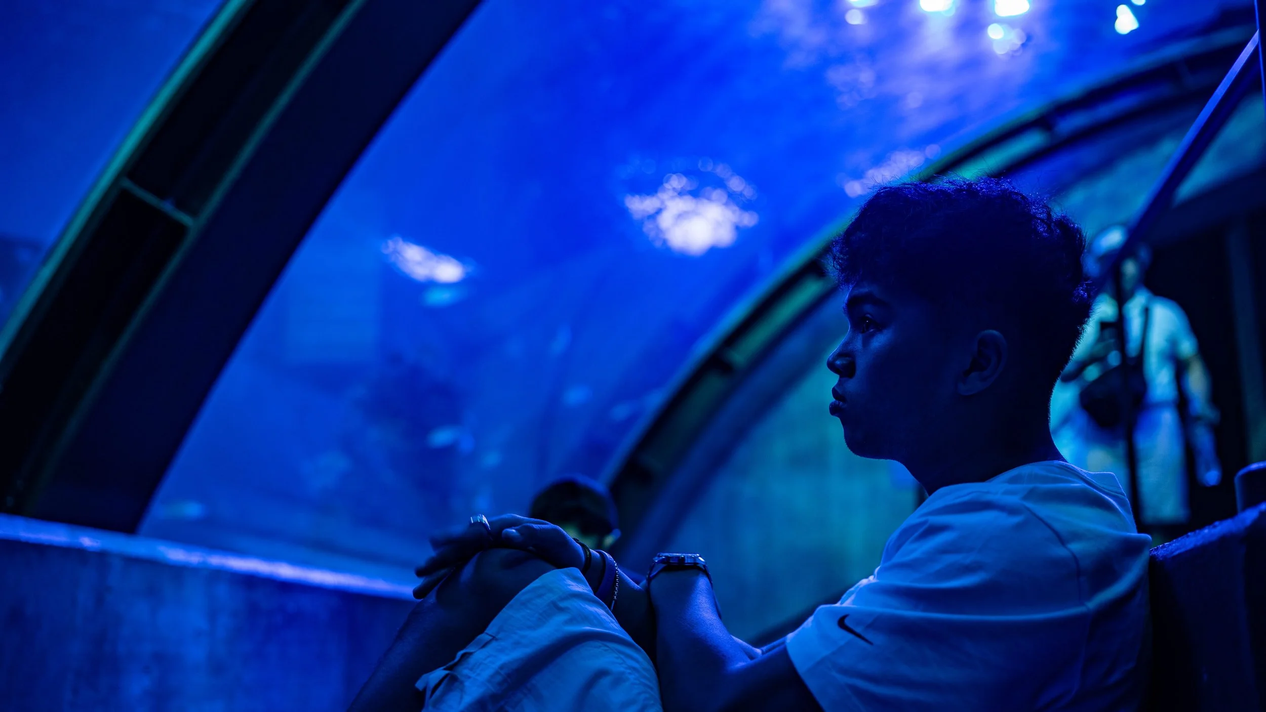 A young man in a white shirt sitting inside an aquarium tunnel, gazing at the aquatic life through the glass.