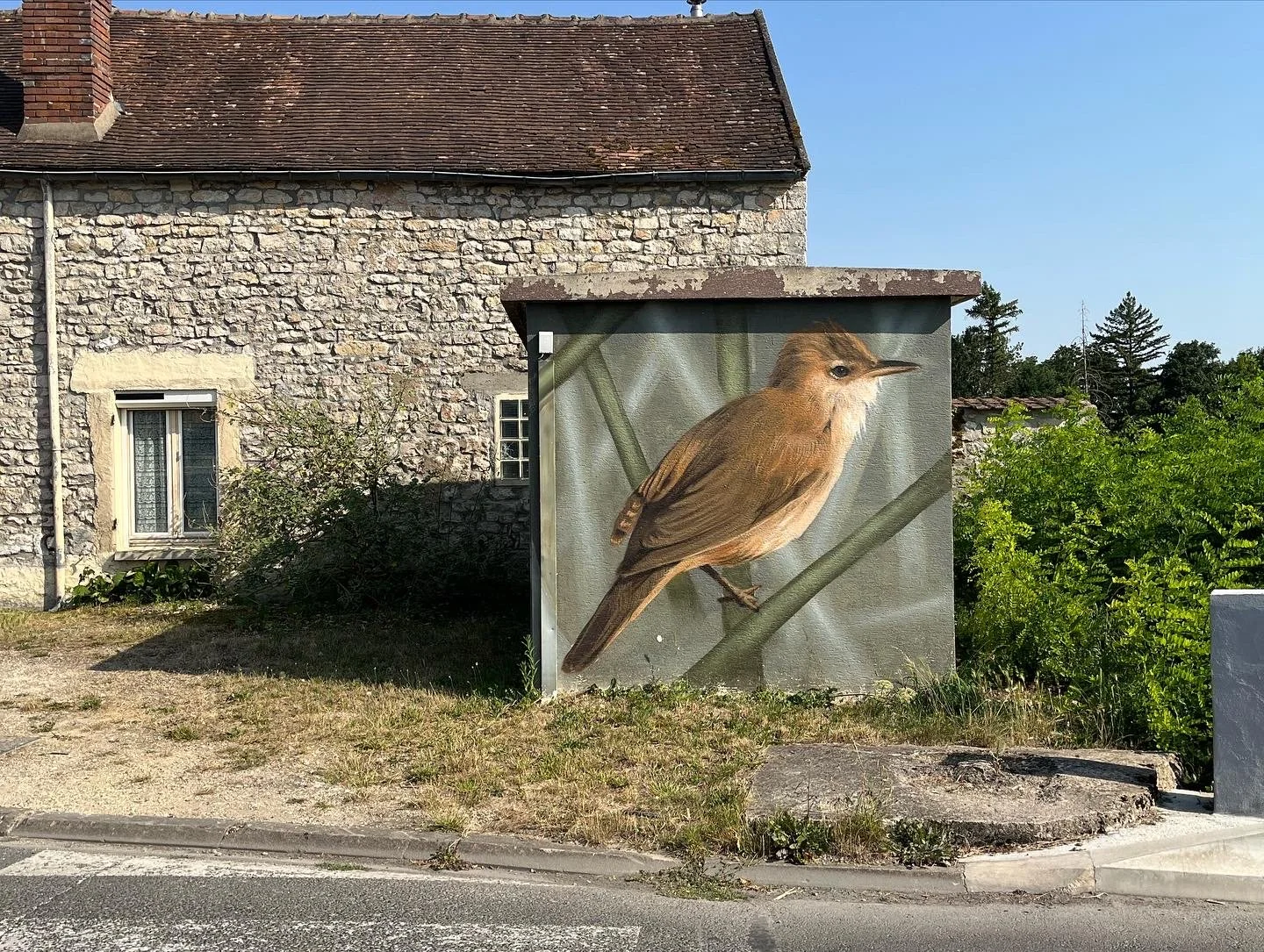 Vue générale d'un transformateur décoré d'une rousserolle effarvatte sur fond de roseaux, près d'un bâtiment en pierre.