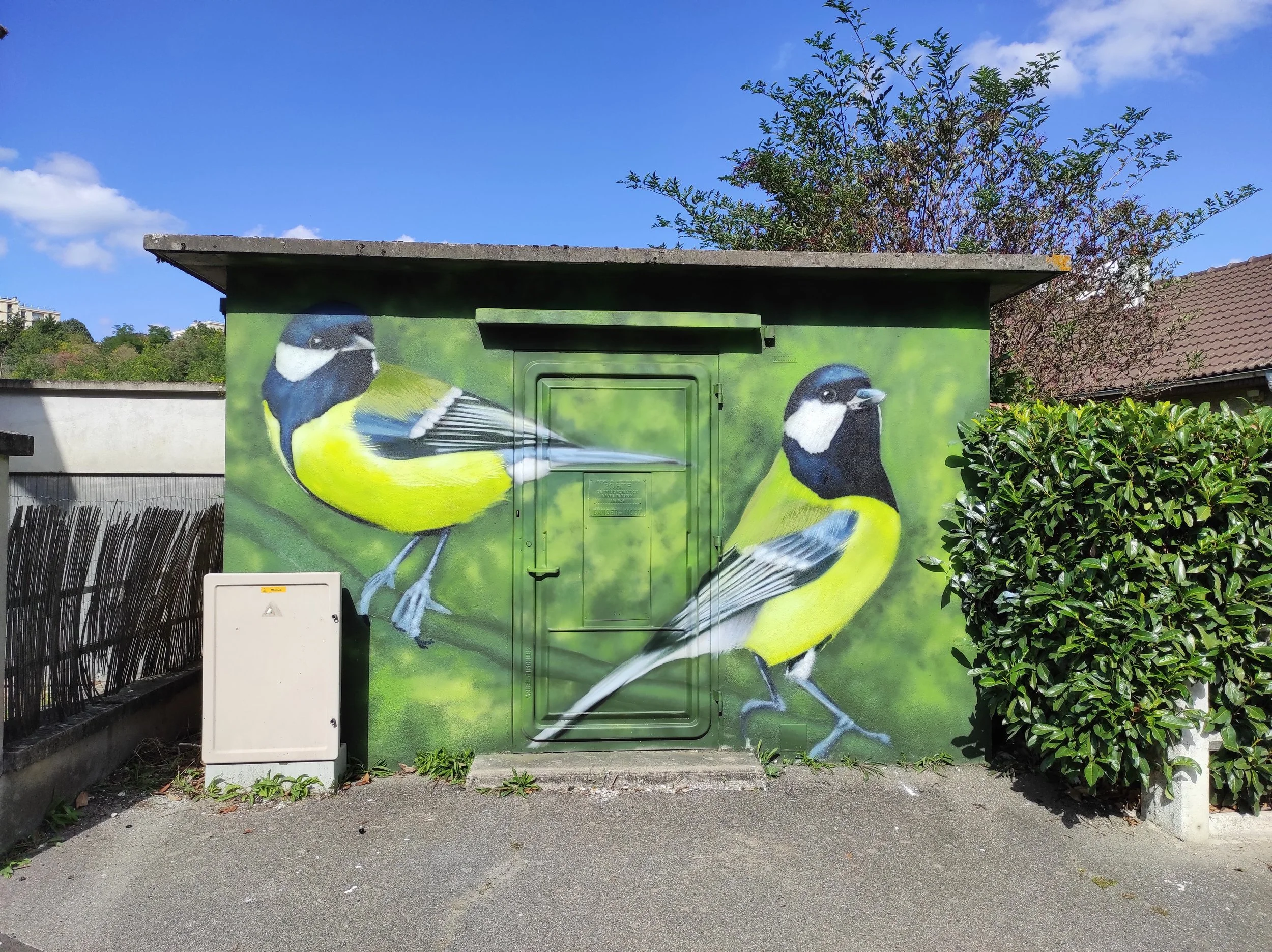 Fresque murale représentant deux mésanges charbonnières sur un transformateur Enedis peint en vert dans un quartier résidentiel de Souppes-sur-Loing.