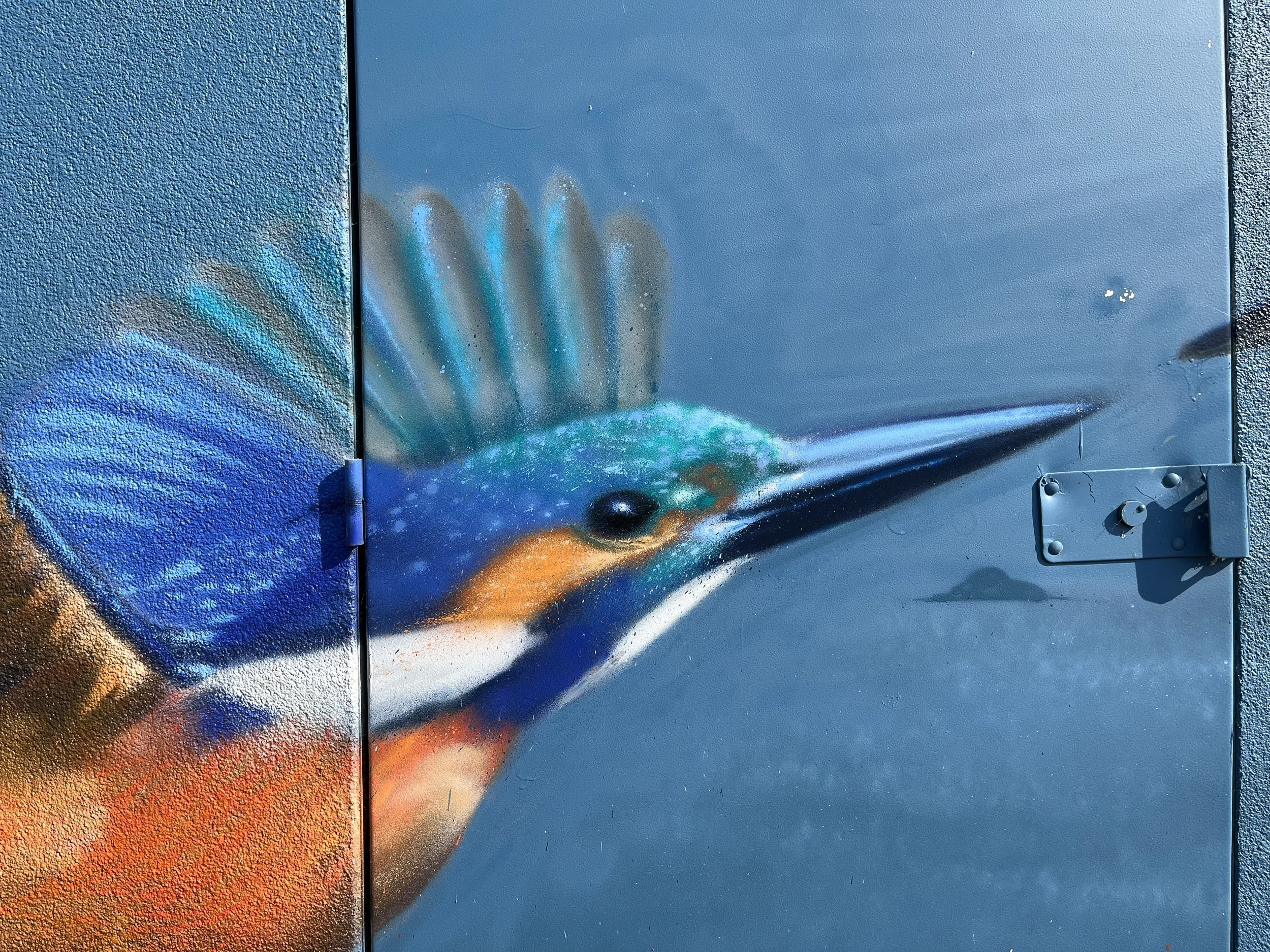 Détail du plumage bleu et turquoise d'un martin-pêcheur peint sur la porte métallique d'un transformateur.