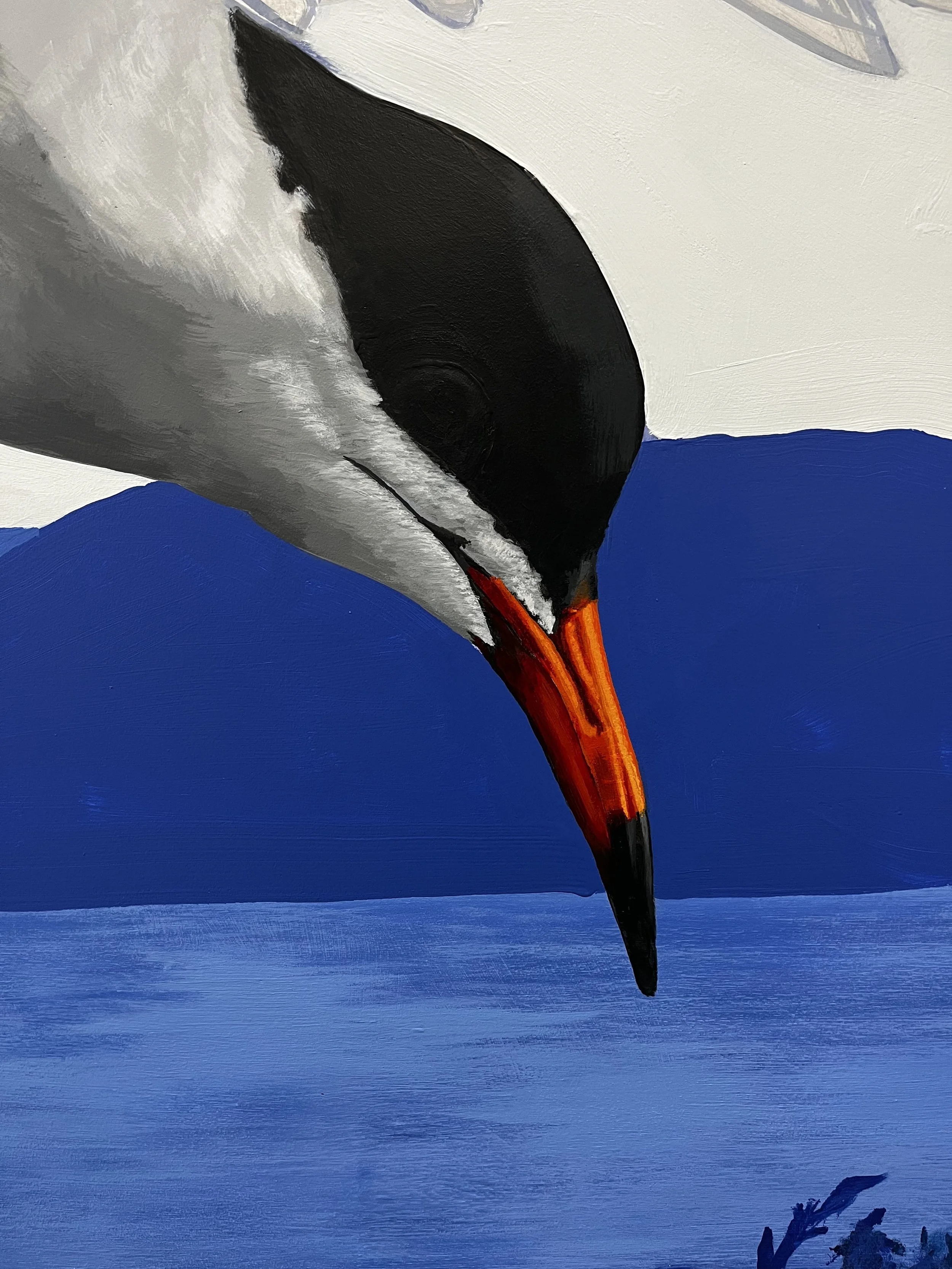 Gros plan sur la tête noire et le bec rouge d'une sterne arctique peinte à l'acrylique sur fond bleu.