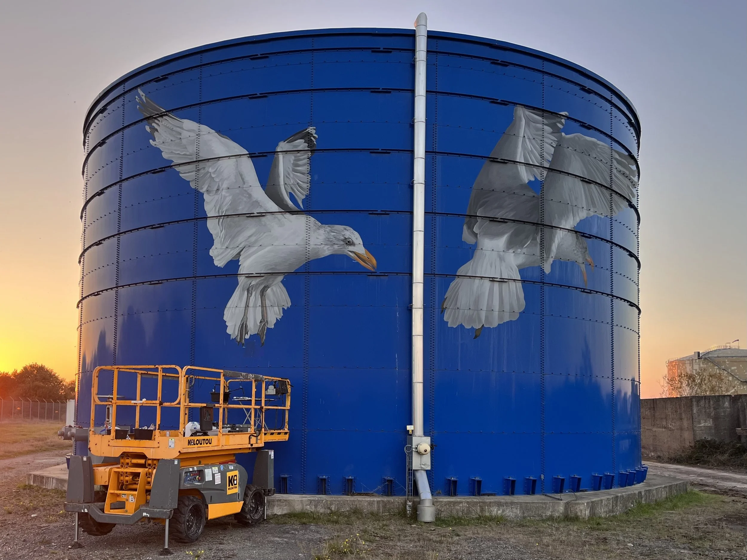 Vue de plusieurs mouettes en vol sur la surface courbe d’un réservoir industriel bleu