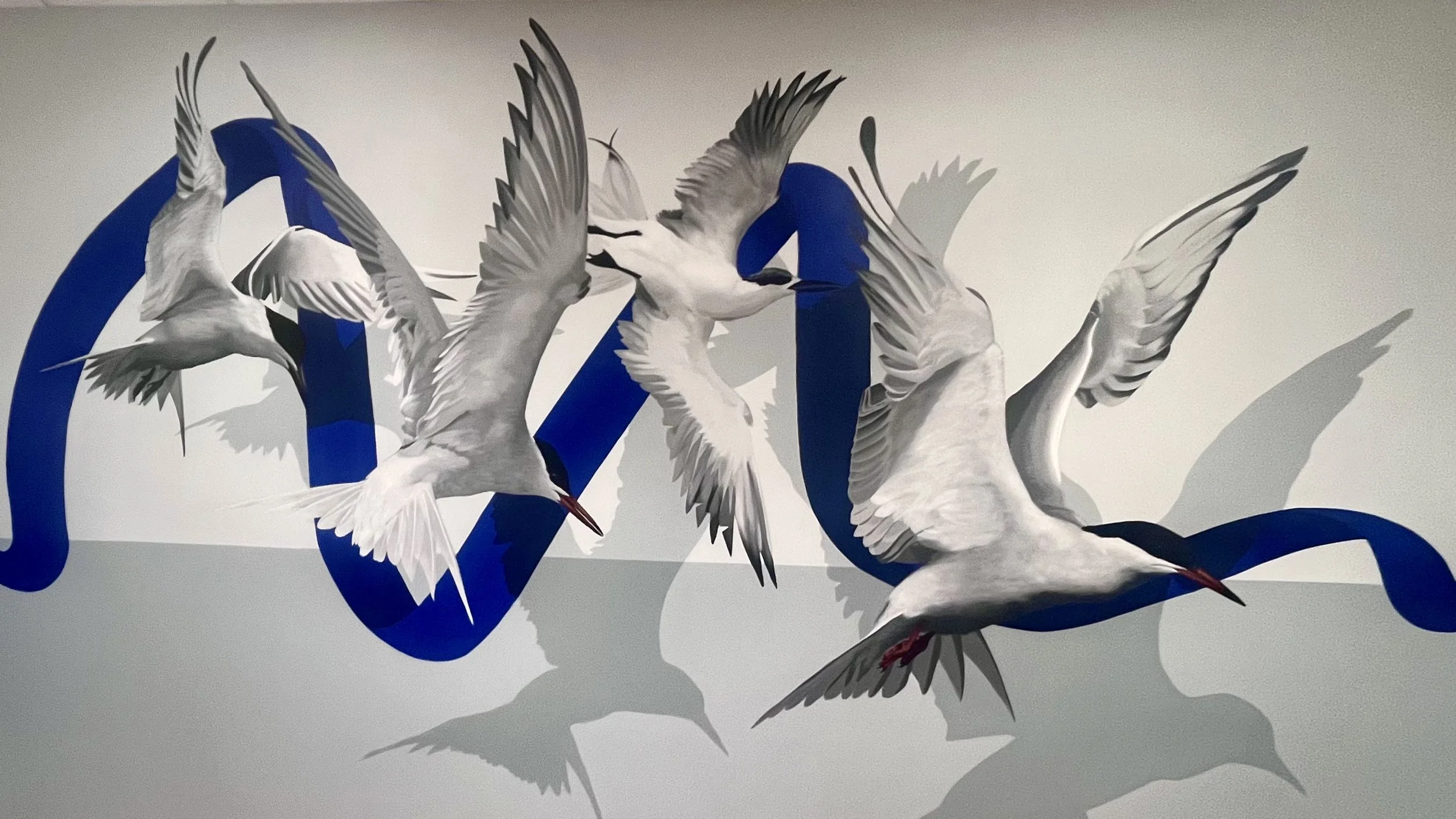 Peinture murale de sternes arctiques déployée sur plusieurs murs intérieurs, avec une composition jouant sur le mouvement des oiseaux et la perspective.