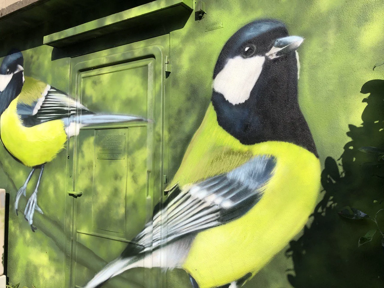 Détail d’une mésange charbonnière peinte en grand format sur un transformateur urbain à Souppes-sur-Loing.