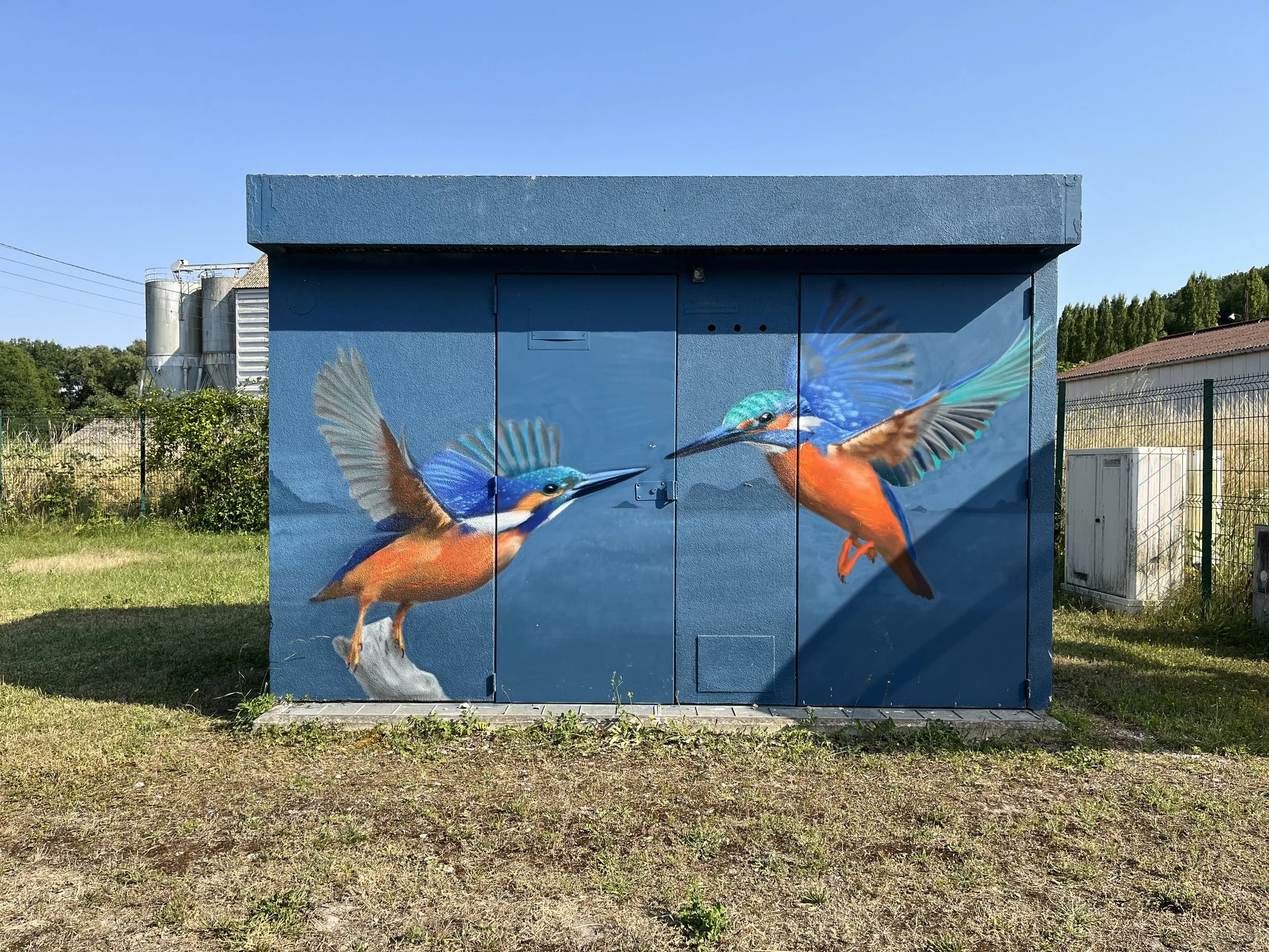Fresque murale représentant deux martins-pêcheurs aux plumages bleus et orangés sur un transformateur électrique à Souppes-sur-Loing (77).