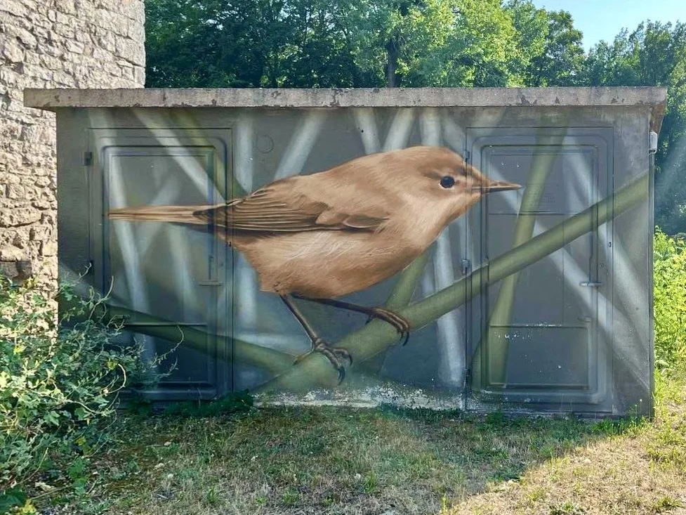 Fresque murale d'une rousserolle effarvatte brune perchée sur un roseau, peinte sur un transformateur à Souppes-sur-Loing.