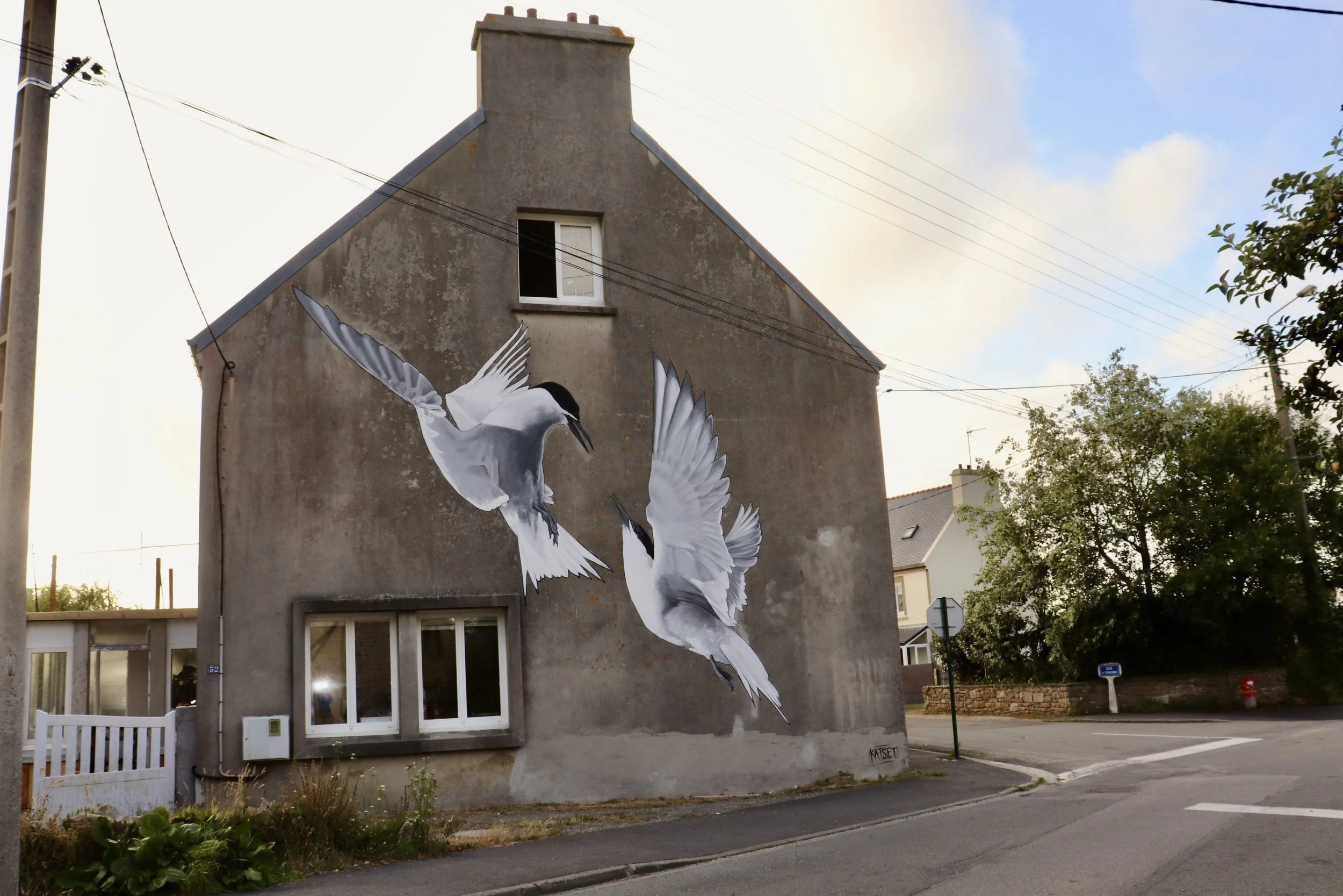 Fresque murale de deux sternes arctiques sur le pignon gris d'une maison à Lampaul-Plouarzel (29), vue depuis la rue.