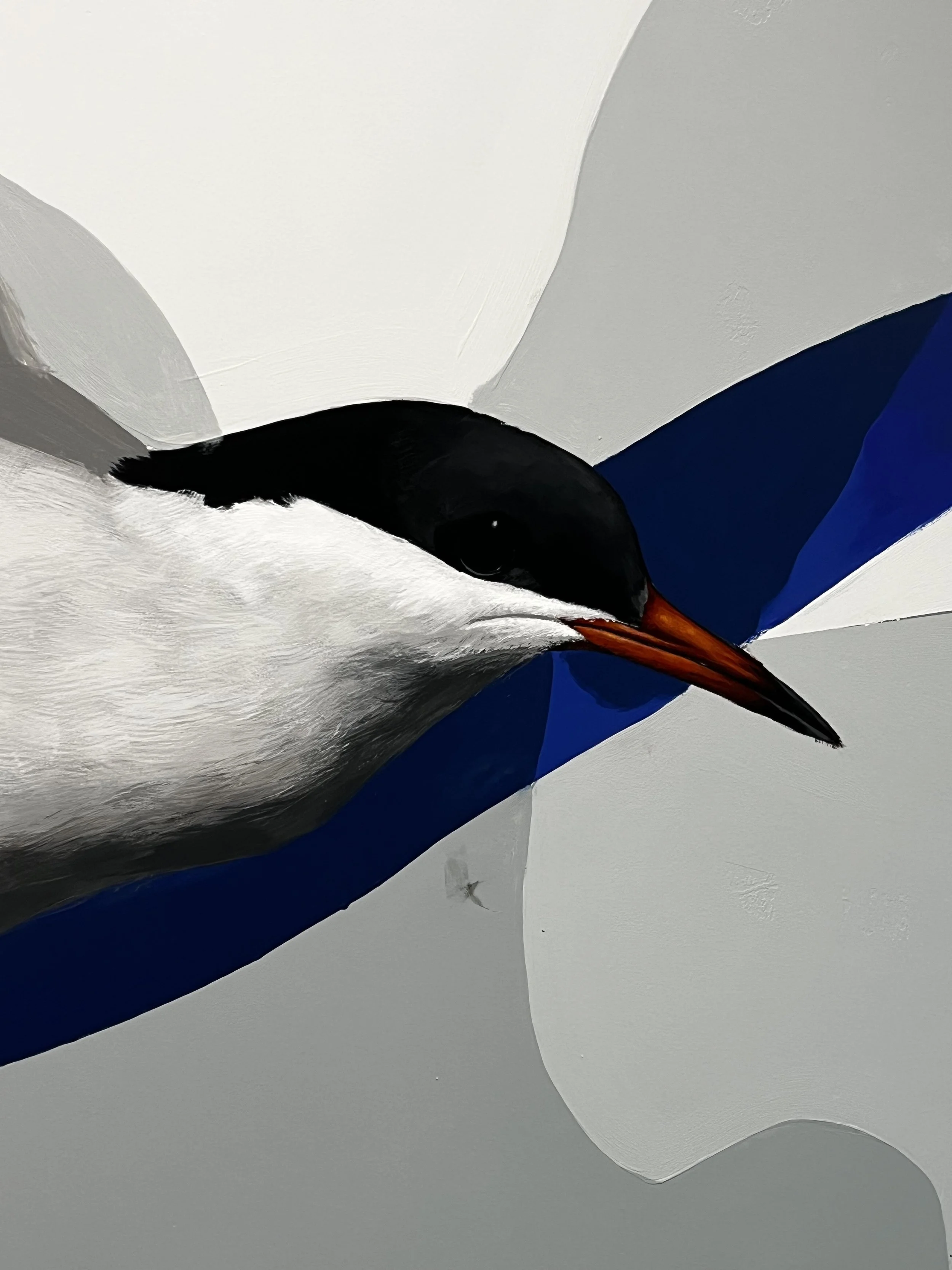 Détail du profil peint d'une sterne arctique, au plumage blanc et gris, avec un bec rouge sur un fond aux formes bleues.