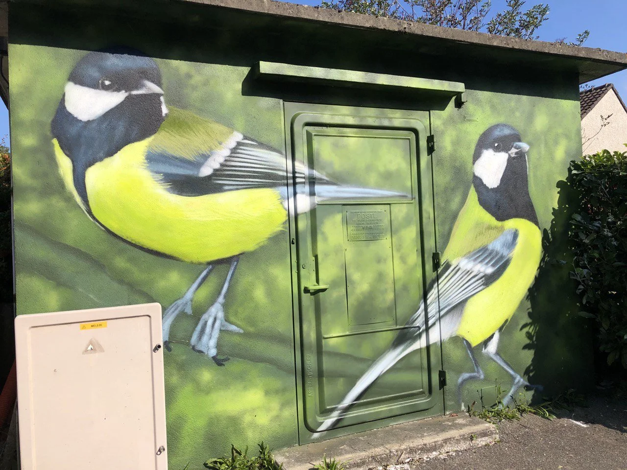 Vue rapprochée de deux mésanges charbonnières peintes sur la façade d’un transformateur, sur un fond vert évoquant la végétation.