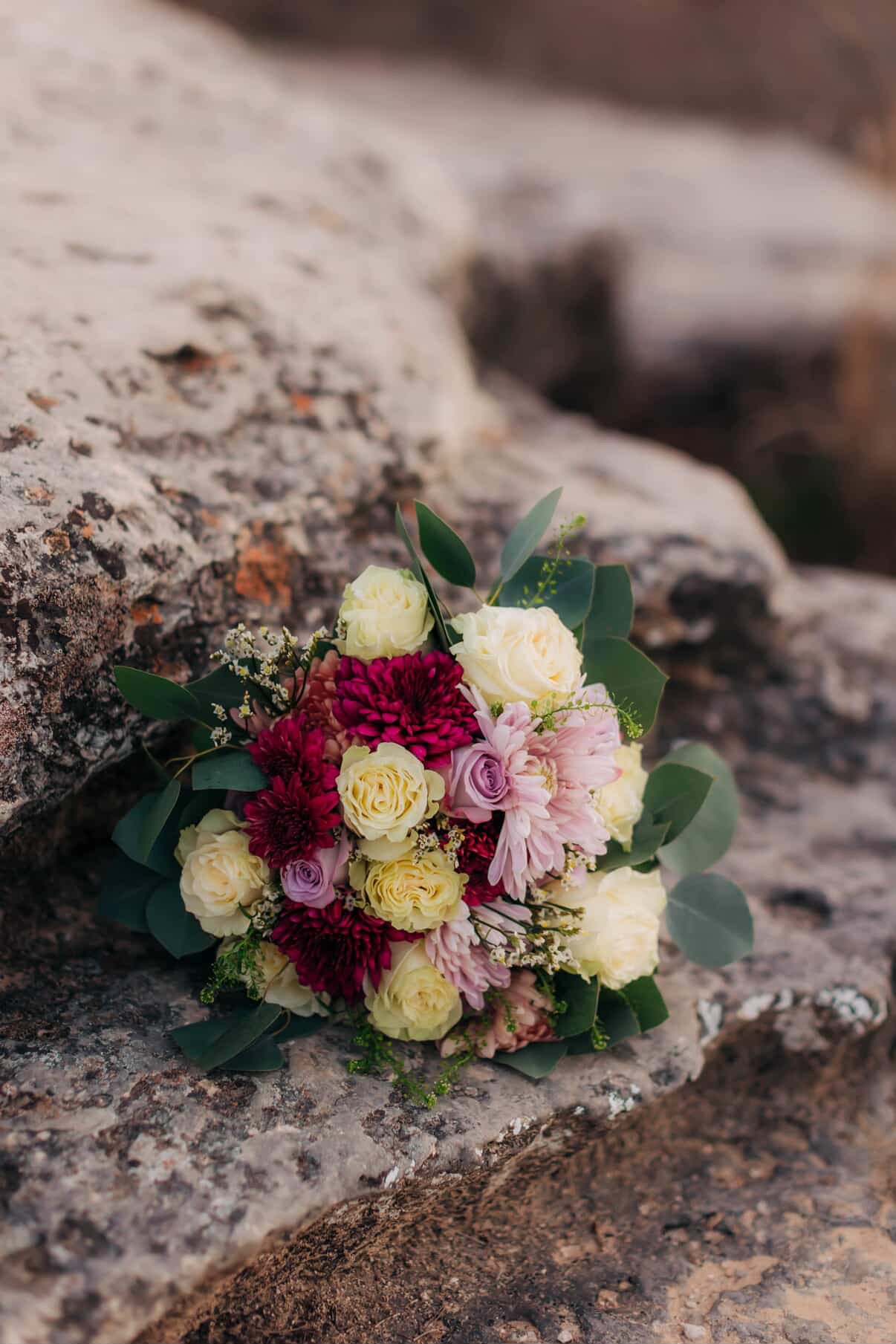 A66423A7-27AD-487F-849D-29969F62D7FE (1).jpeg