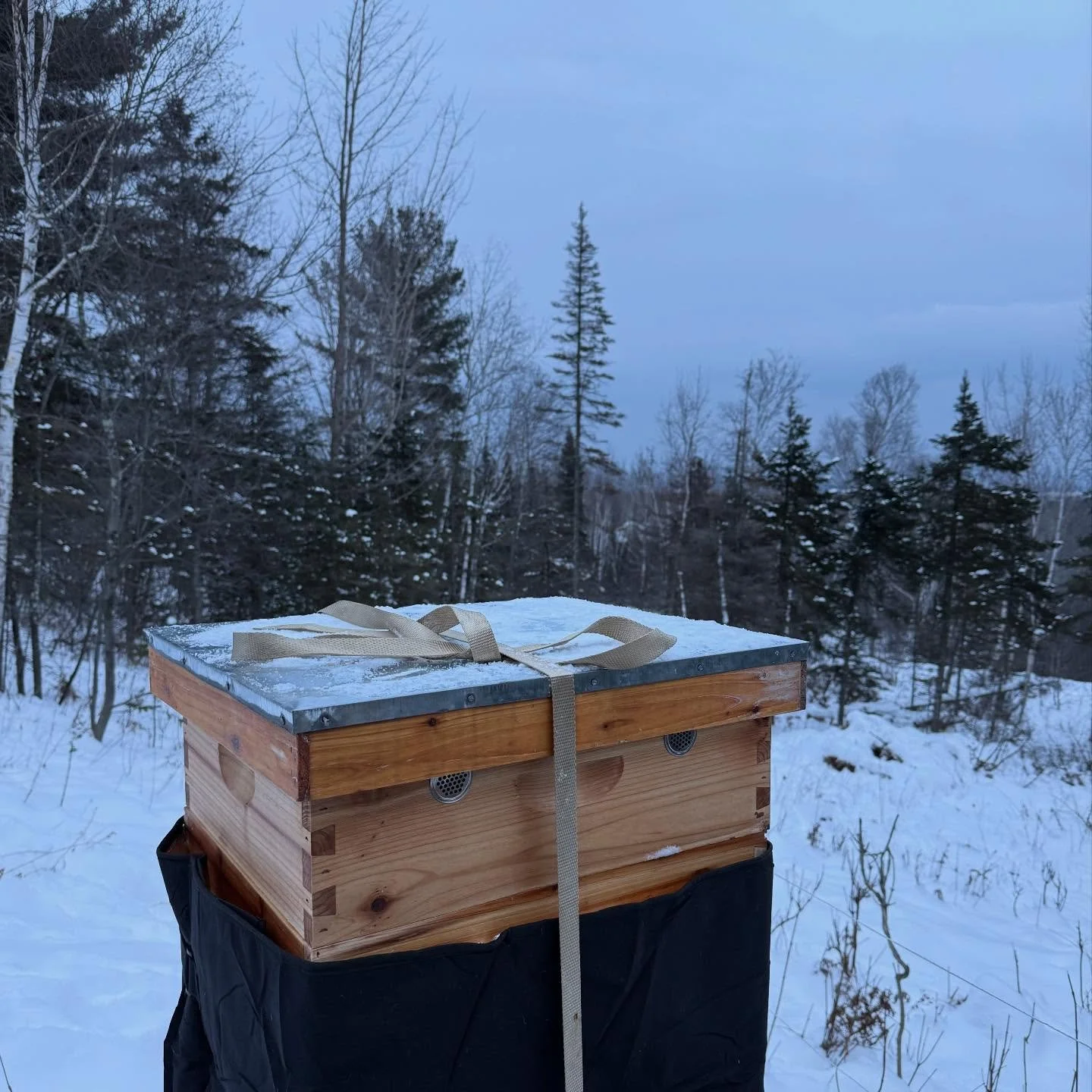 Aiming for growth, not perfection

After figuring out a good cadence for hive checks, suddenly fall got away from us and I was late to the game to winterize the hives. Everyone has a different approach for winterizing their bees. We decided cozies, a
