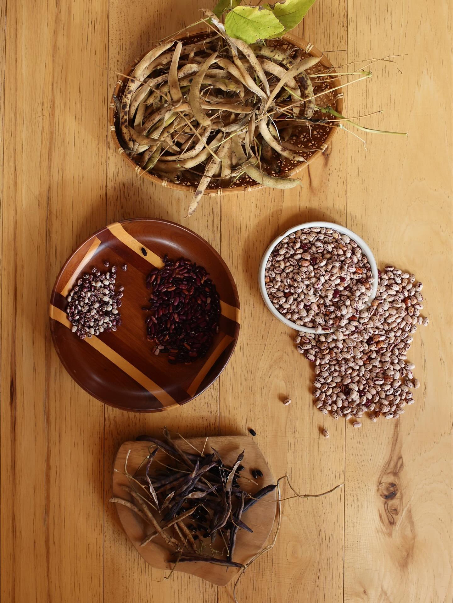 Beans are not so unlike little pebbles that you can&rsquo;t help but collect

Processing some of our shelling and seed beans from the season. Let me tell you, those $5 seed packets really add up. Always trying to save seeds where we can.

My favorite