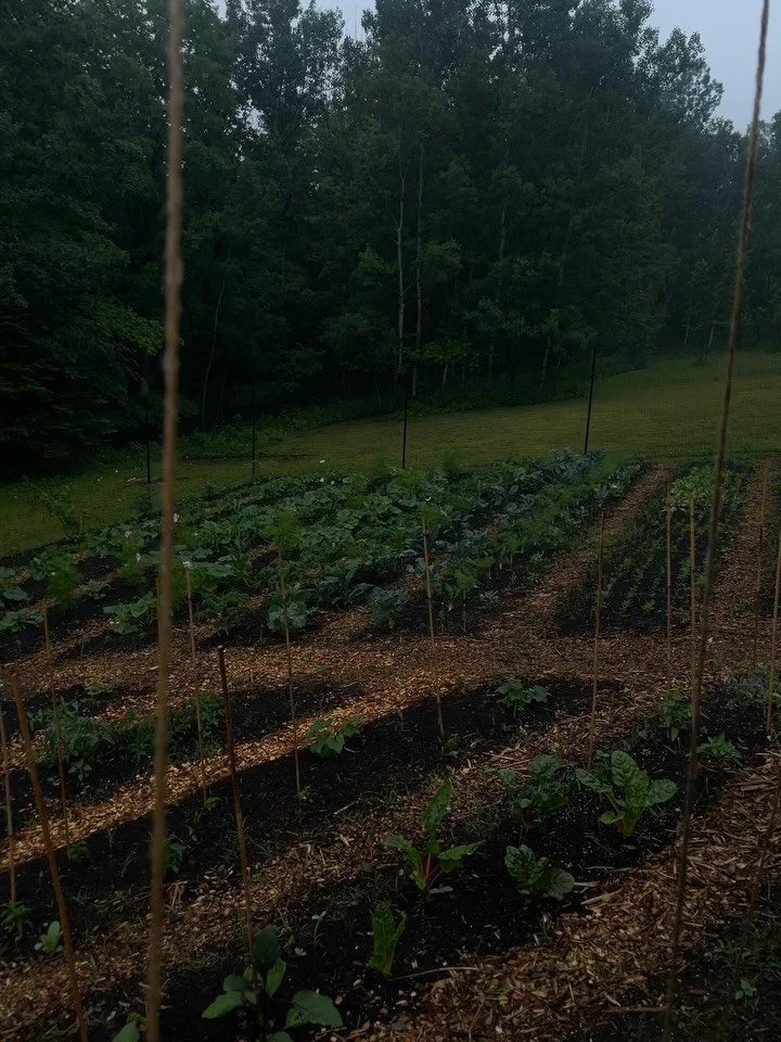 Hoping the forecasted rain this weekend wipes the snow out so we can get our outdoor season rolling. 

For the remainder of the spring we&rsquo;ll only be taking on established garden projects and crop layouts. If you&rsquo;re interested in garden bu