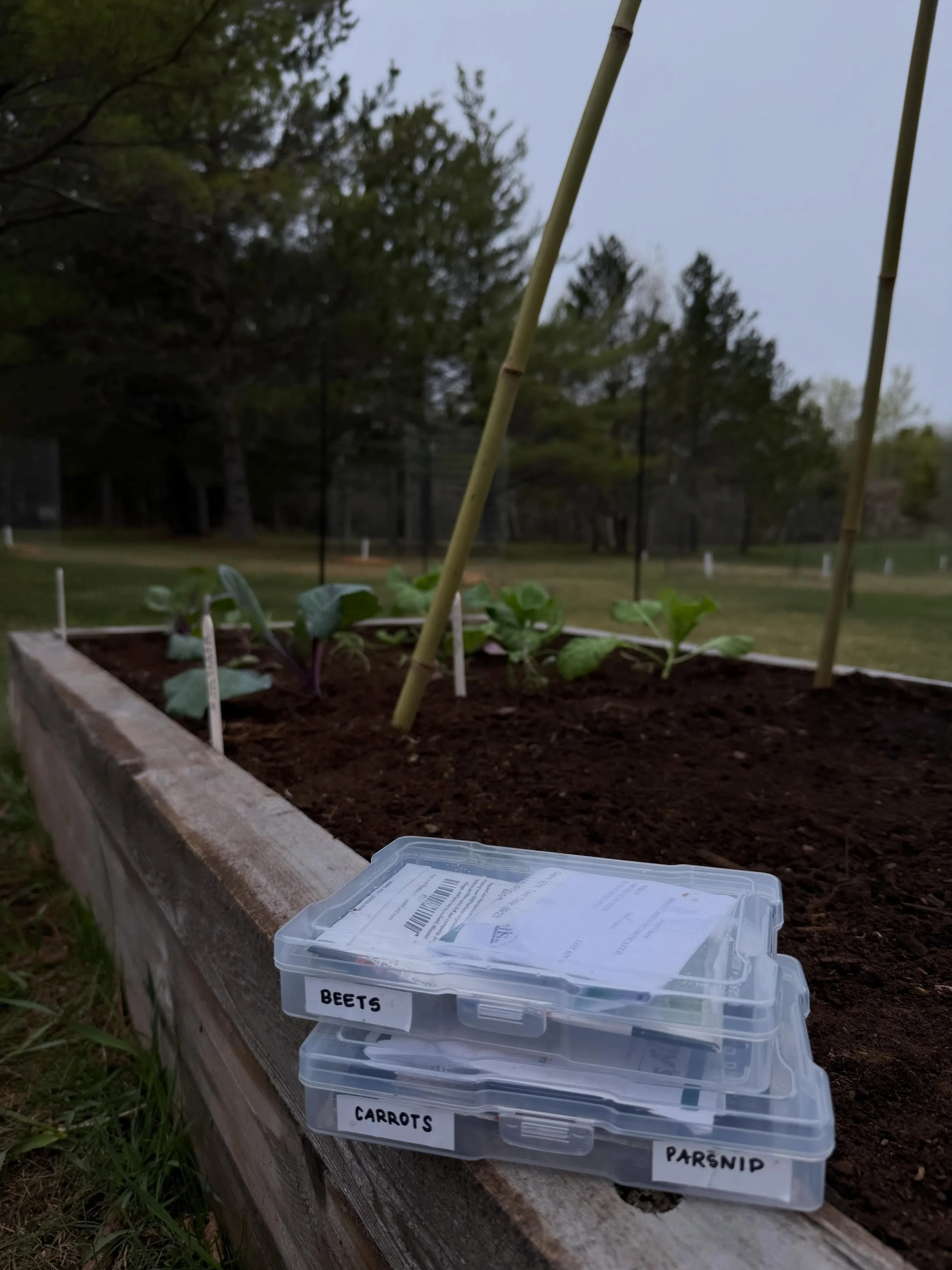 Love a foggy garden day.

We&rsquo;re officially in transplant mode. After a long winter and cold spring, we can finally get our cool crops out.