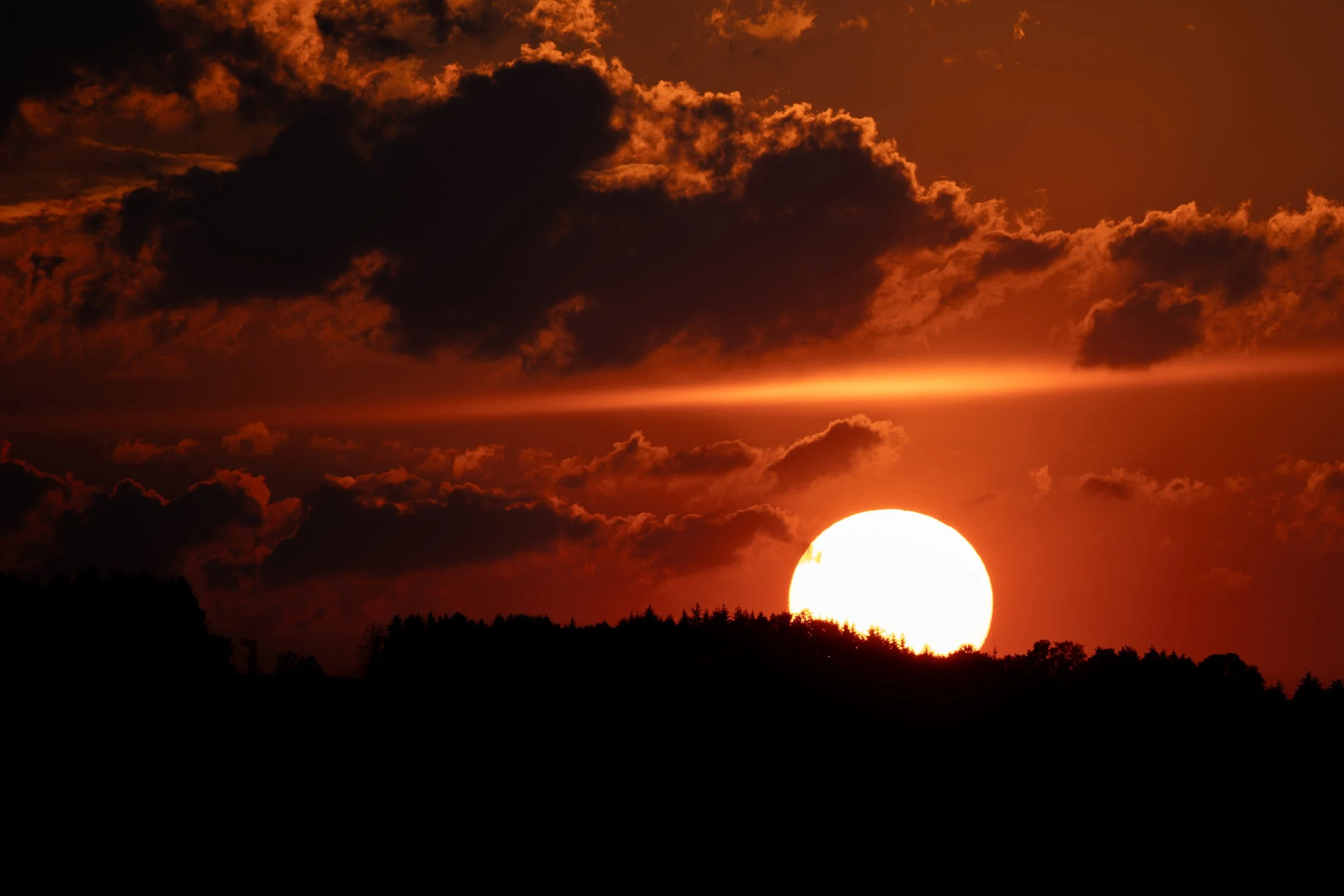 Ein Sonnenuntergang hinter einem Baumgürtel mit dunklen Wolken am Himmel, die Landschaft im Vordergrund ist silhouettiert.