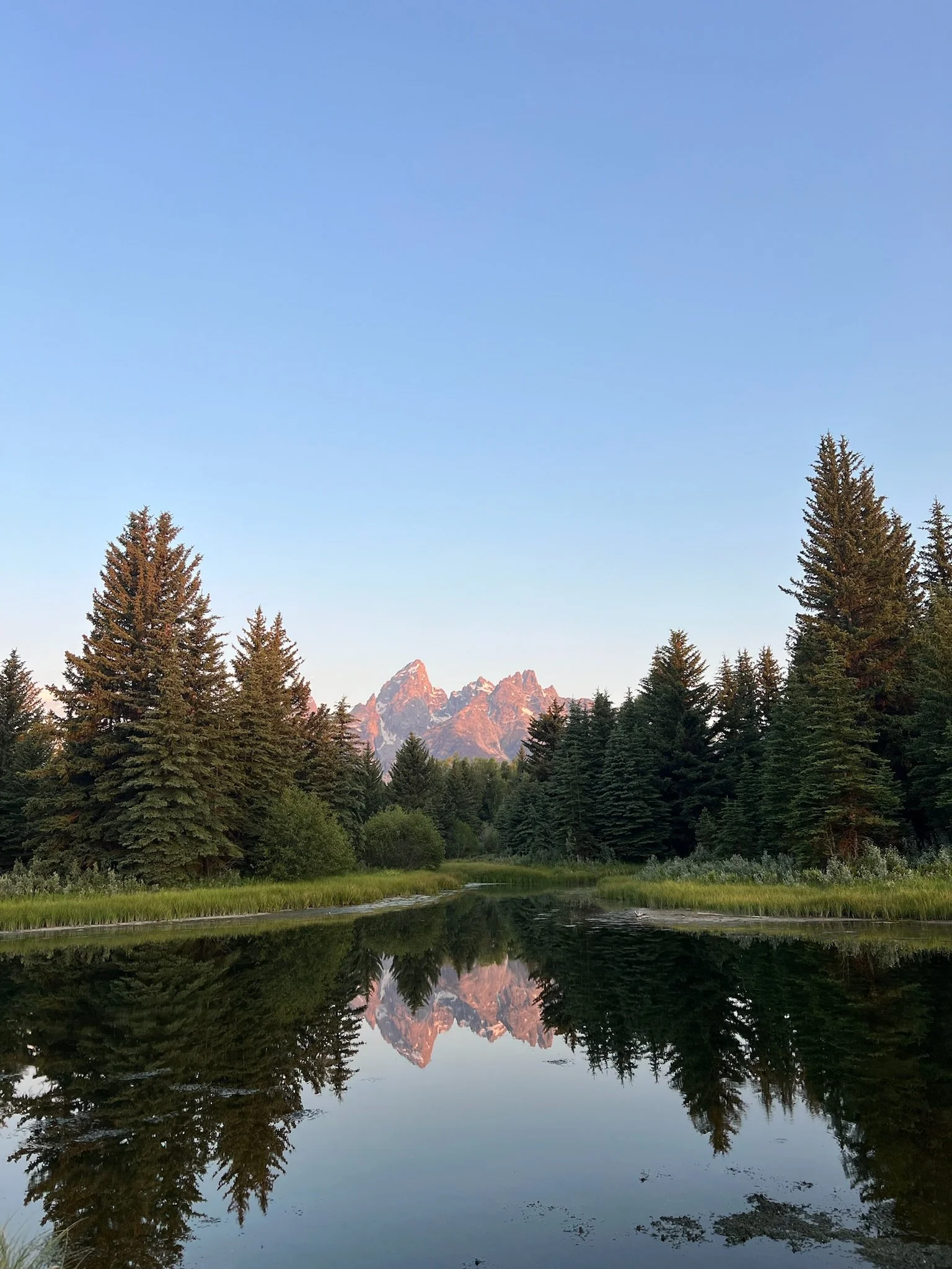 A serene mountain landscape with tall evergreen trees surrounding a calm river, reflecting snow-capped peaks and a clear blue sky at dawn or dusk.