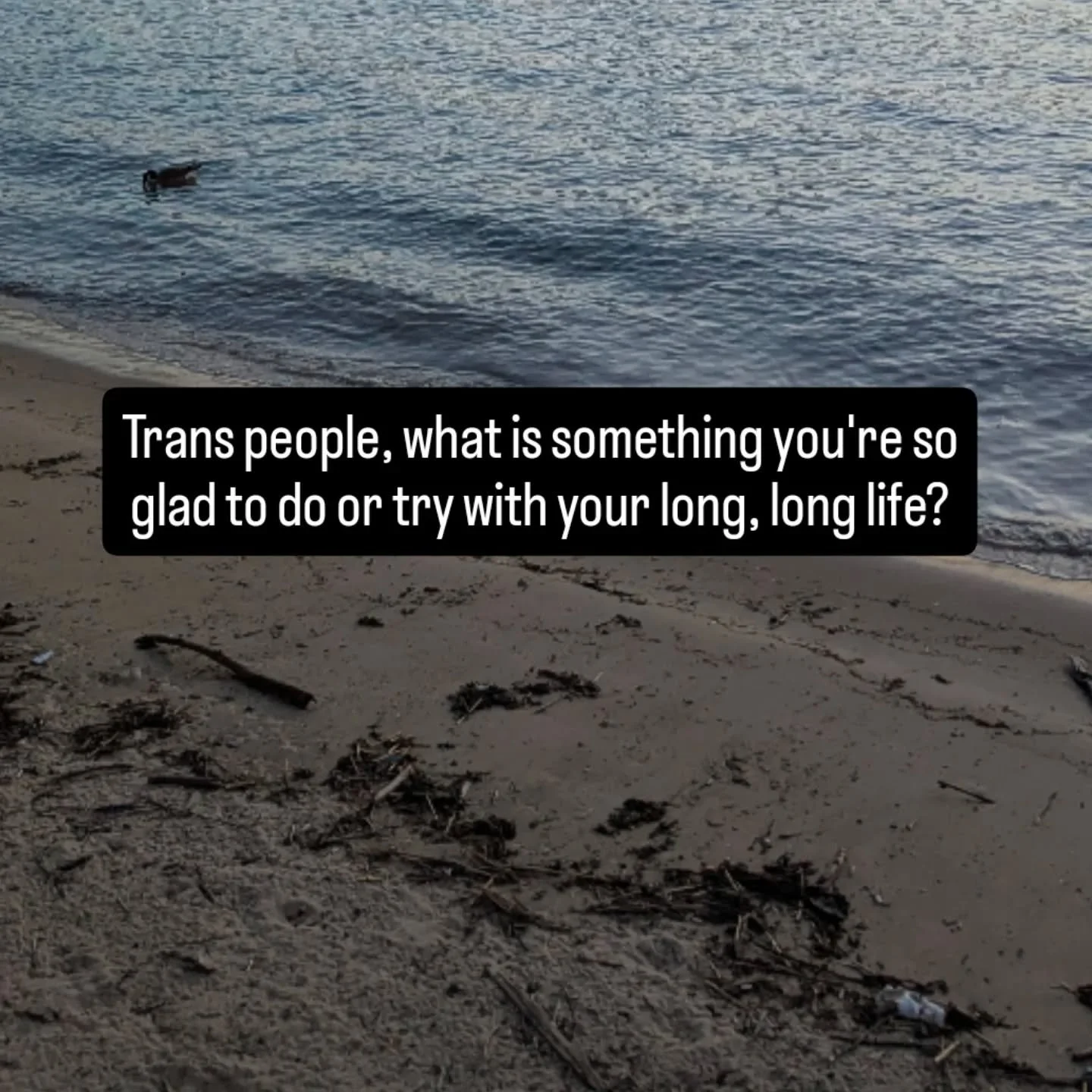 Just would like to know - trans people, what is something you're so glad to do or try with your long, long life? // Sometimes this phrasing feels radical and wish it wasn't so today. // Even if you don't want to answer, it's just a reminder it's okay