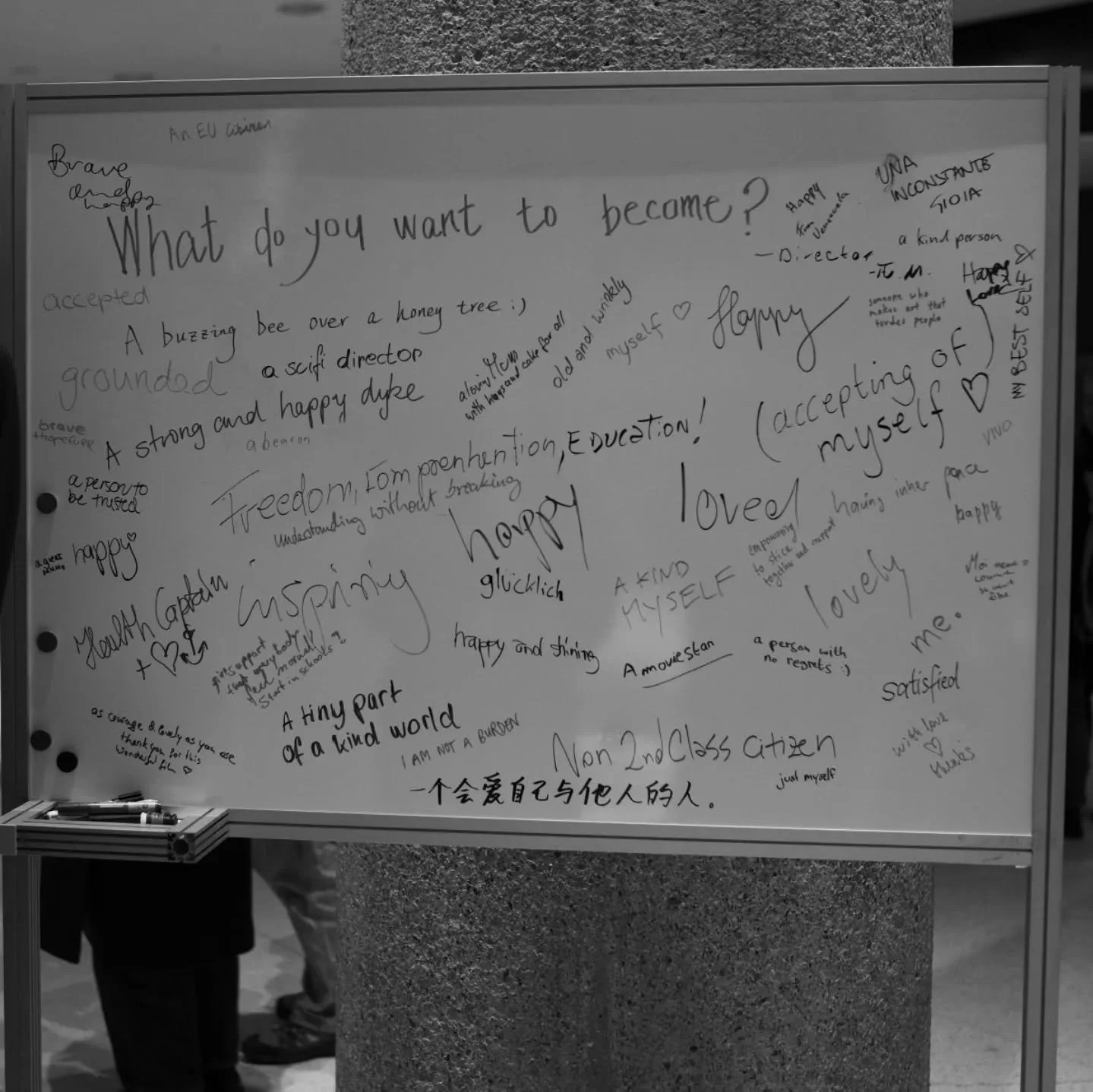 Our interactive board from our world premiere at @berlinale_generation to say thank you to some of our partner organizations around the world who have supported our screenings since. It reads, WHAT DO YOU WANT TO BECOME? some answers from our audienc