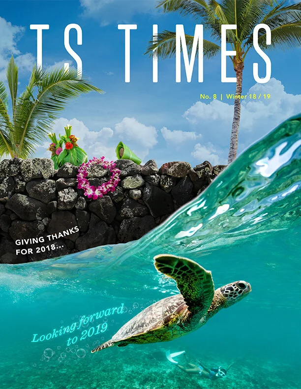 20_AJ-Portfolio_TS-Times_Covers_Turtle_R1.jpg