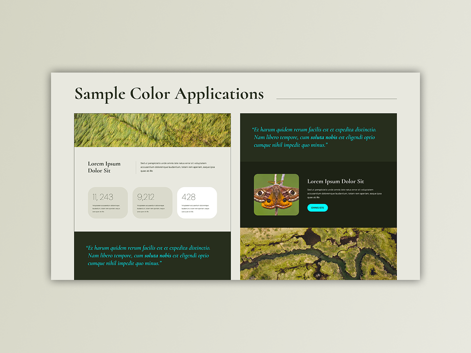 image of The Wildlife Society brand guidelines color applications page