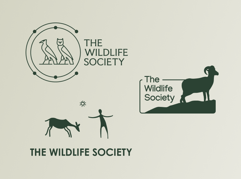 image of different logo concepts for The Wildlife Society