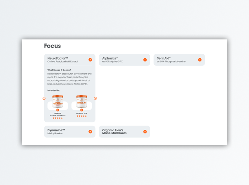 image of image glossary content on The Genius Brand website