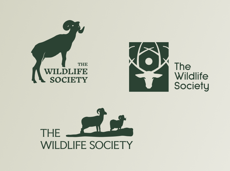 image of different logo concepts for The Wildlife Society