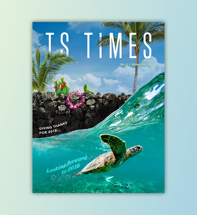 image of T S Times cover for looking forward to 2019 issue