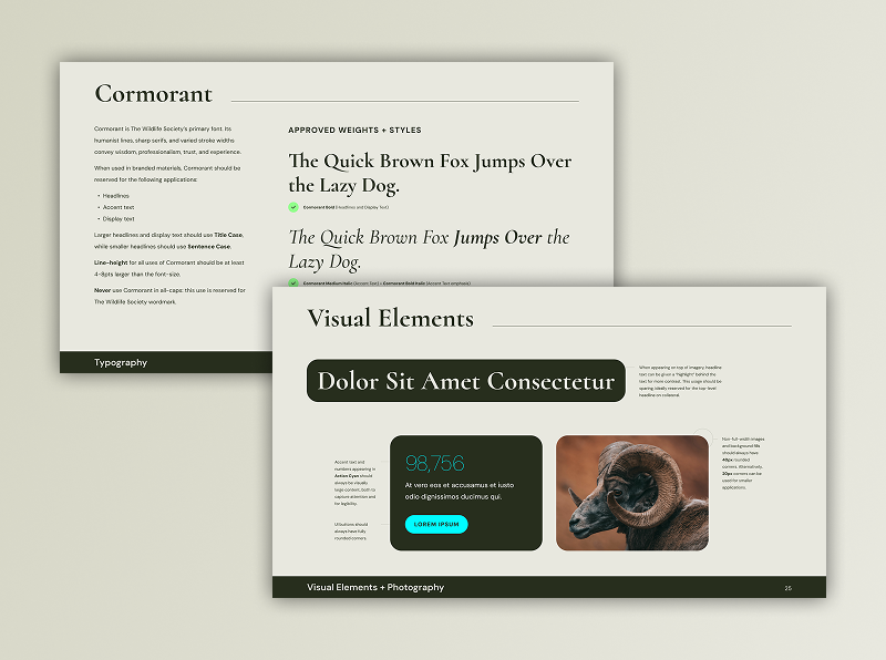 images from The Wildlife Society brand guidelines, including typography and visual elements