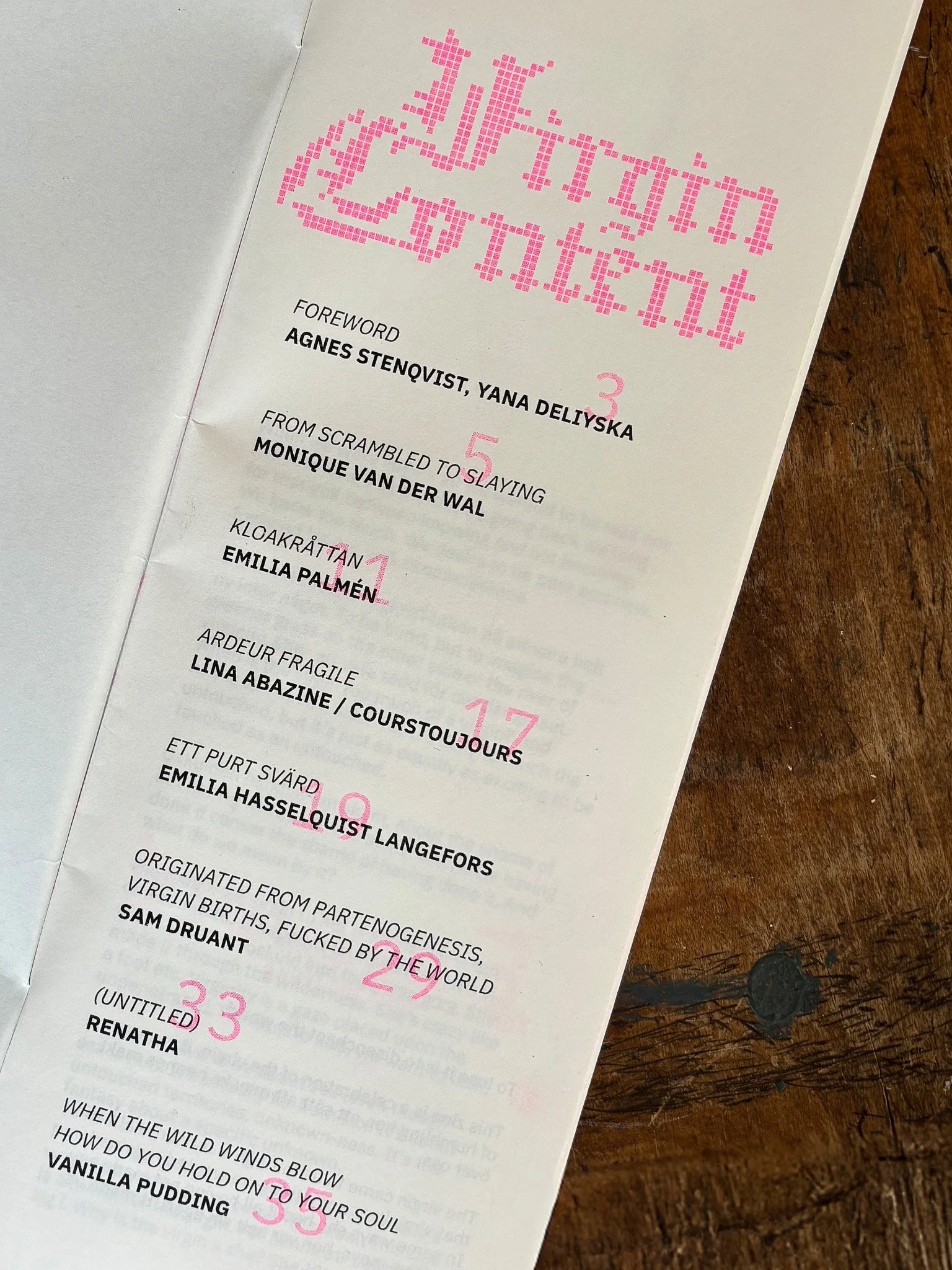 Page with pink pixelated text at the top, and a list of items with numbers in pink, including names and descriptions, on a white background near a wooden surface.