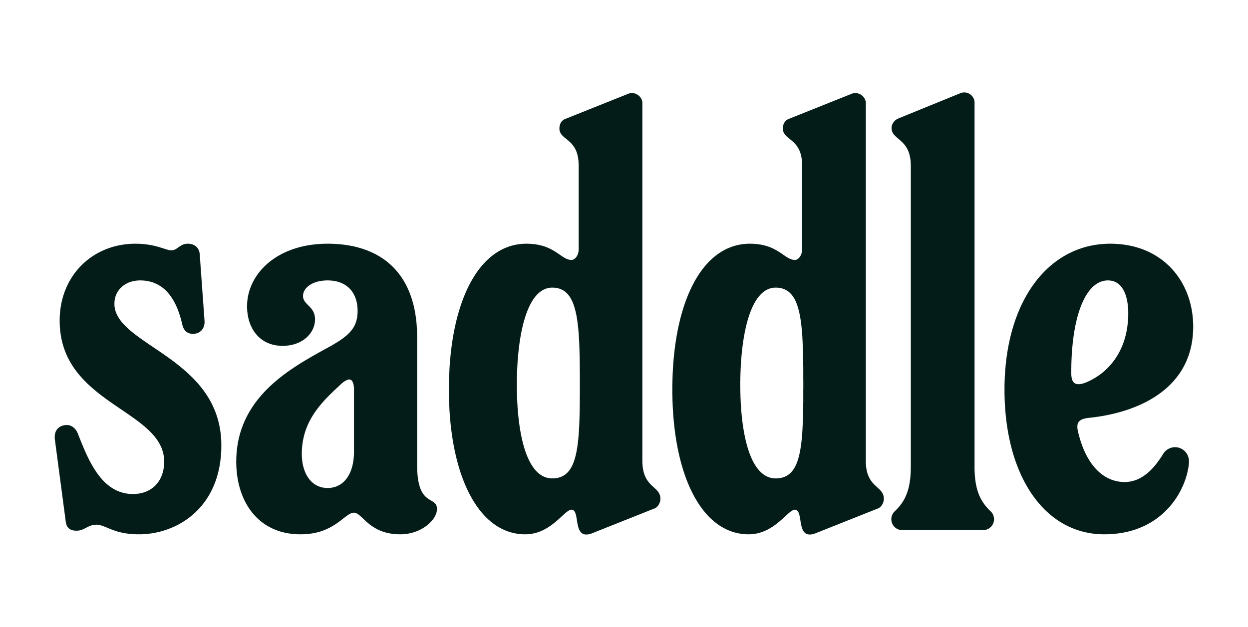 The word 'sadie' displayed in large, bold, dark green letters on a black background.