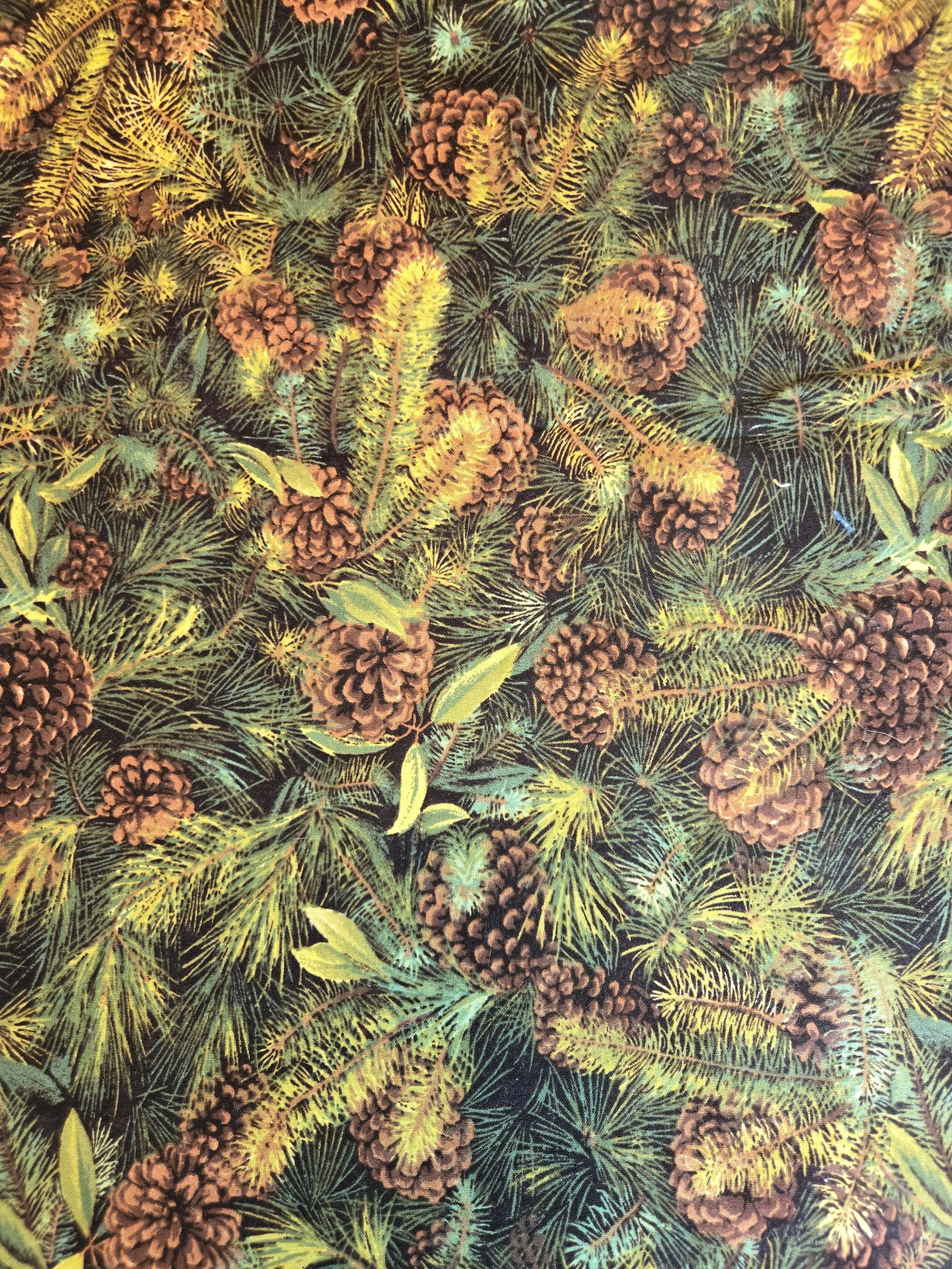 20260129_123208.jpg (Copy)