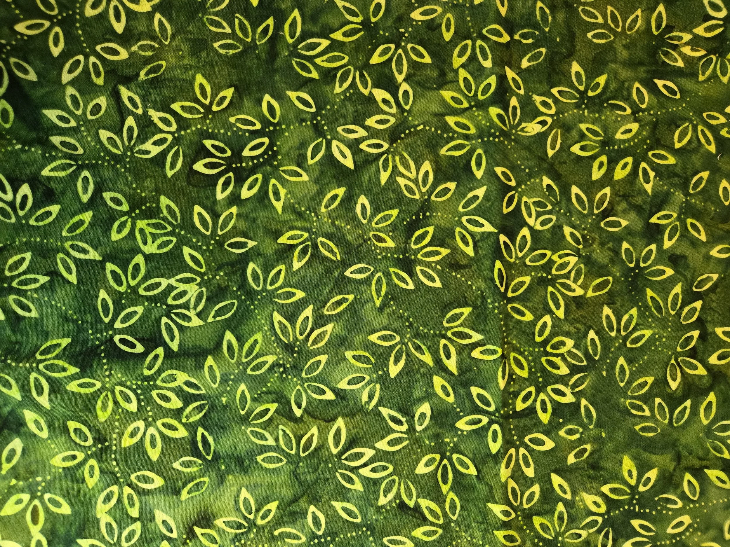 20260129_122846.jpg (Copy)