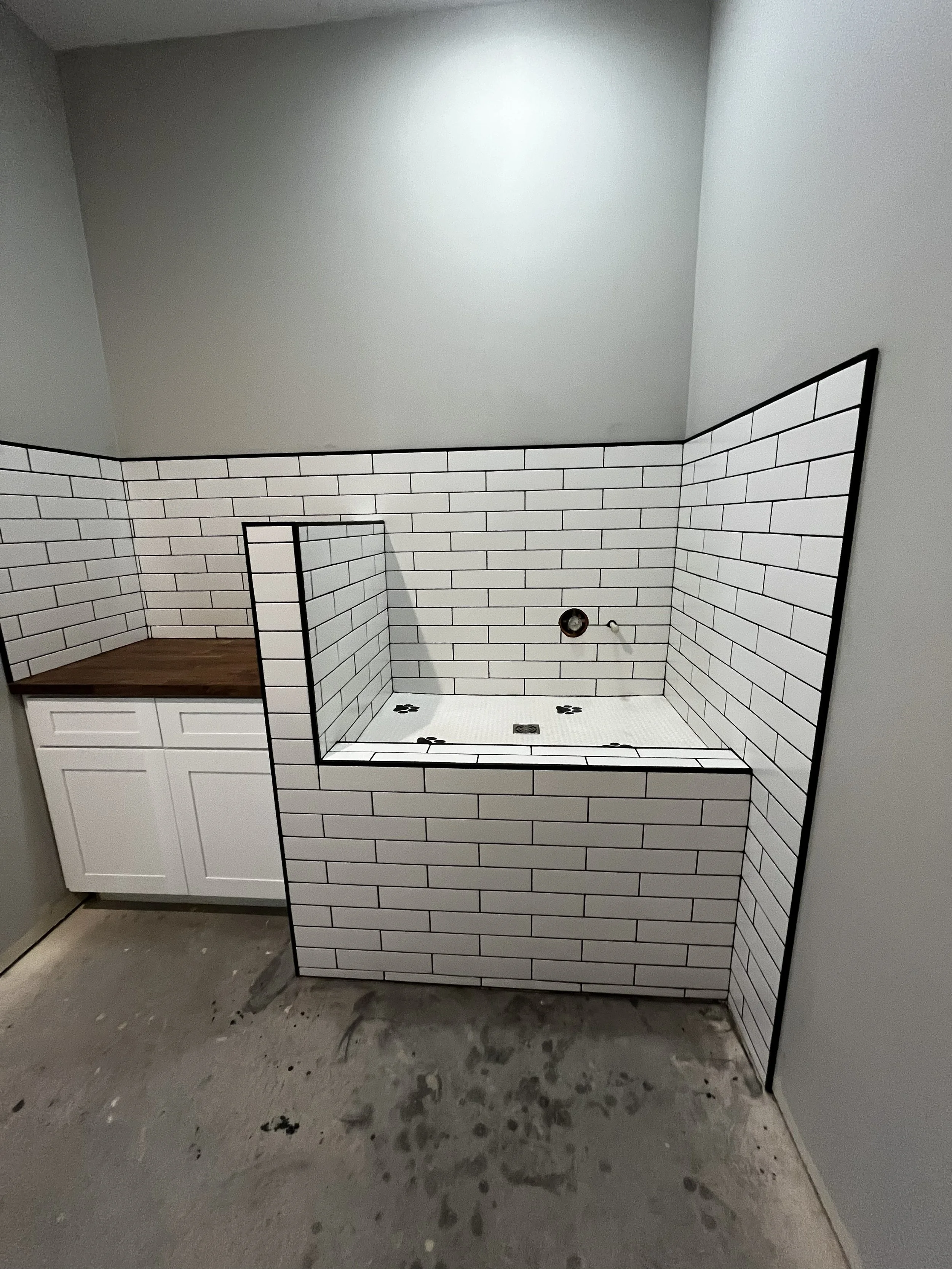 Custom Dog Wash Station 