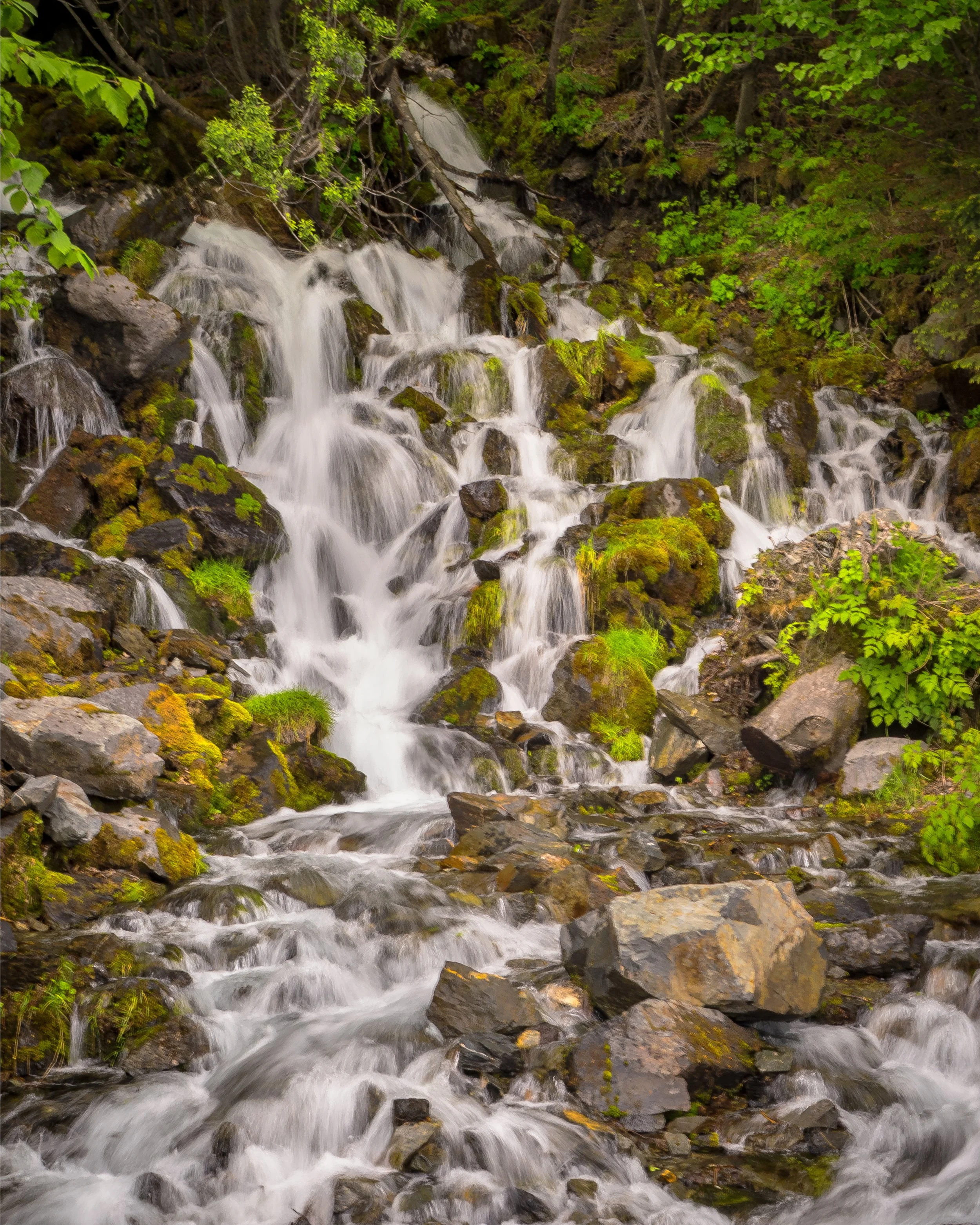 Waterfall-Seward-Alaska-06-16-2026.jpg
