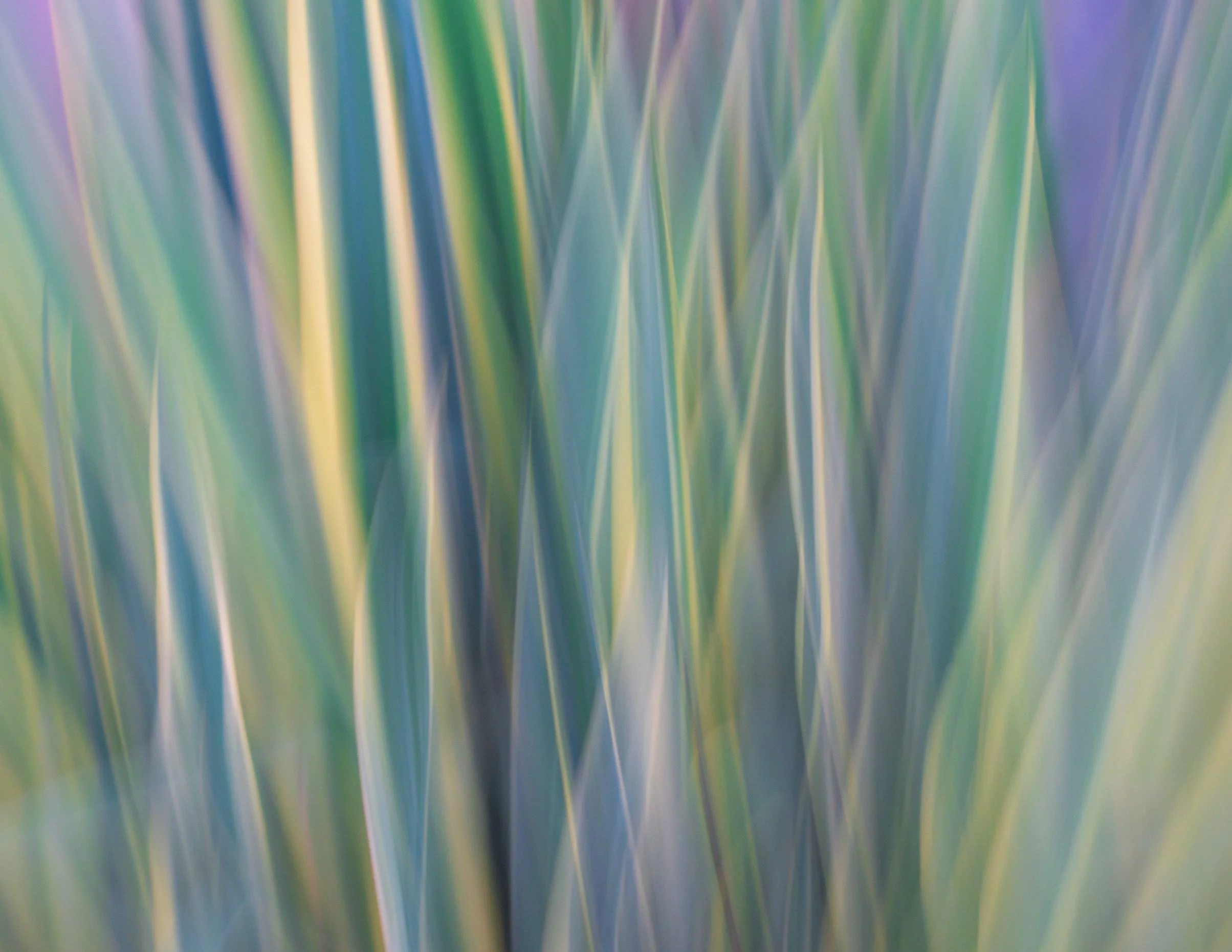 Blue About You ICM.jpg