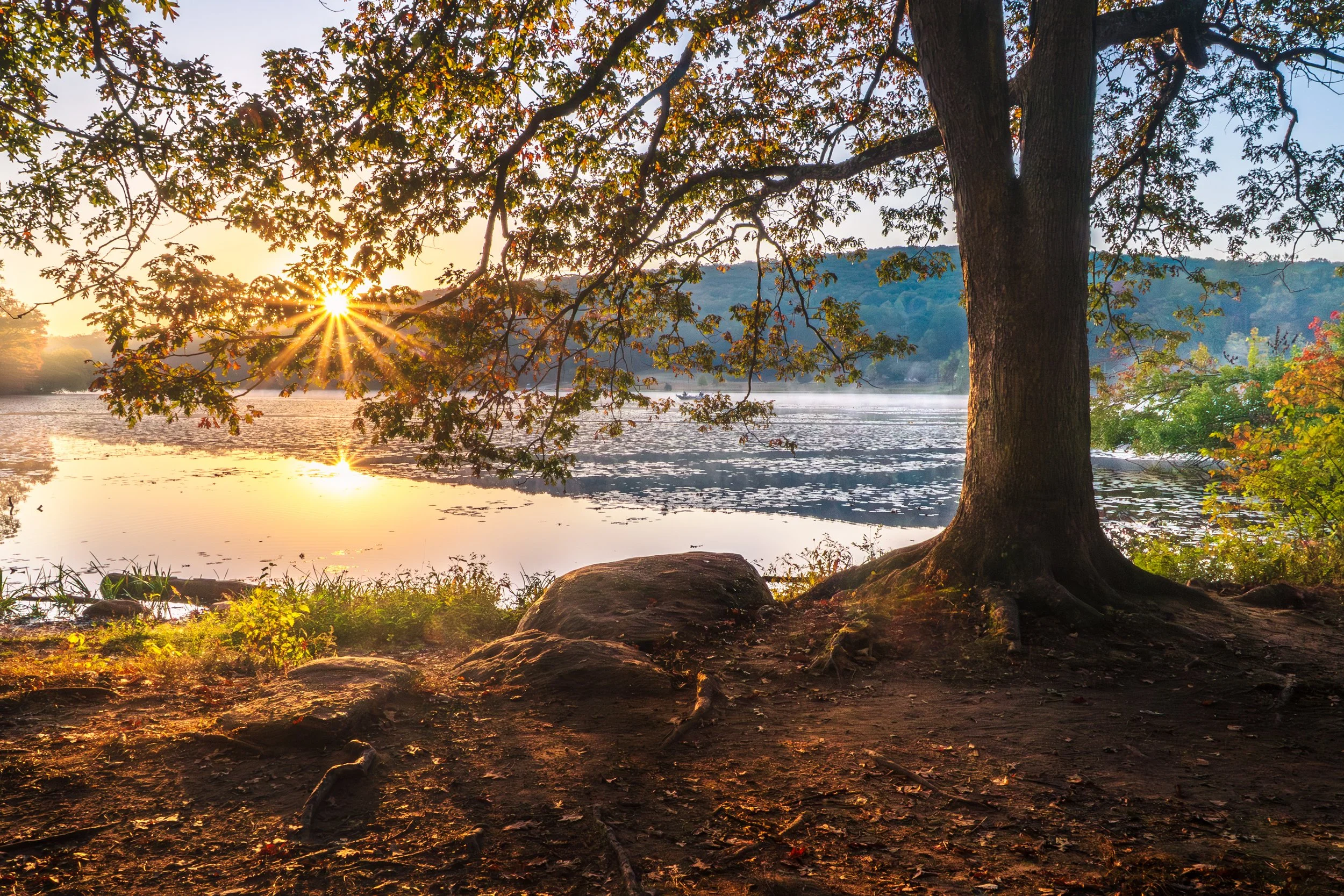 Daybreak at the Lake - Hopewell Lake, French Creek State Park - Elverson, Pennsylvania