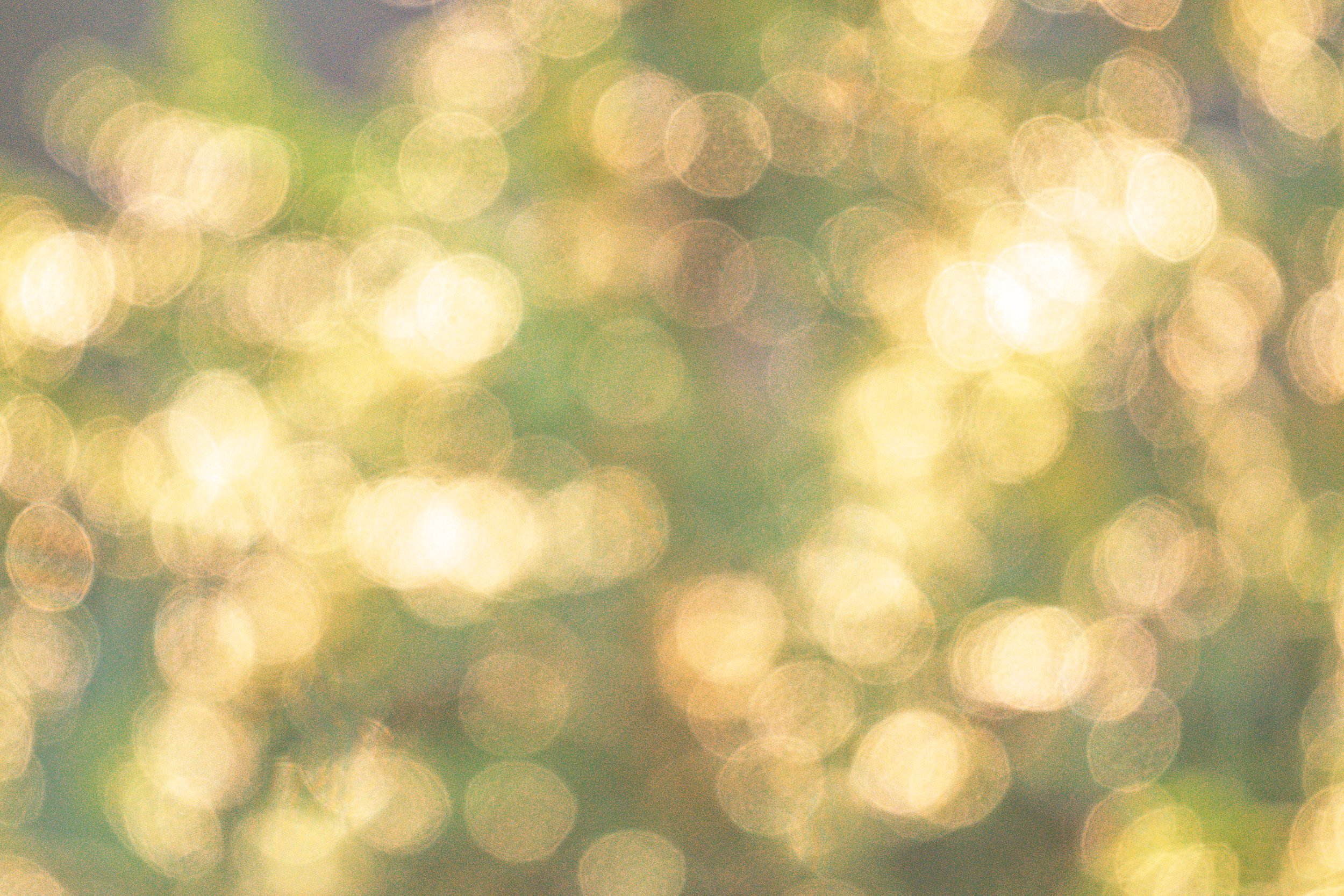 Bokeh-Dream-2026.jpg