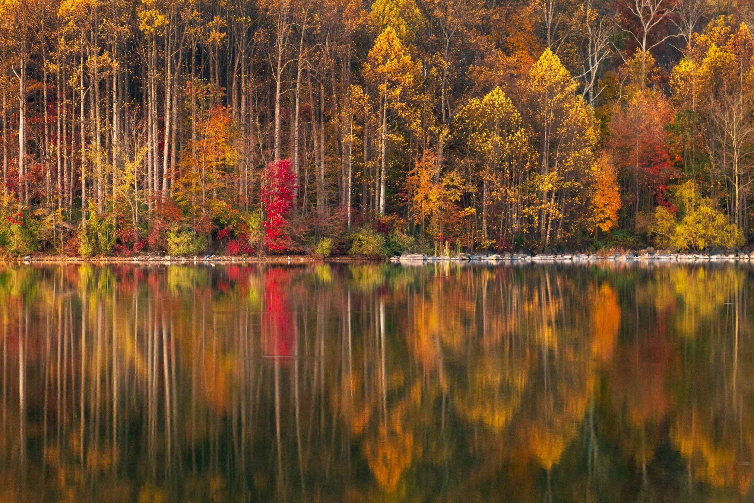 Autumn Showcase - Chambers Lake, Pennsylvania