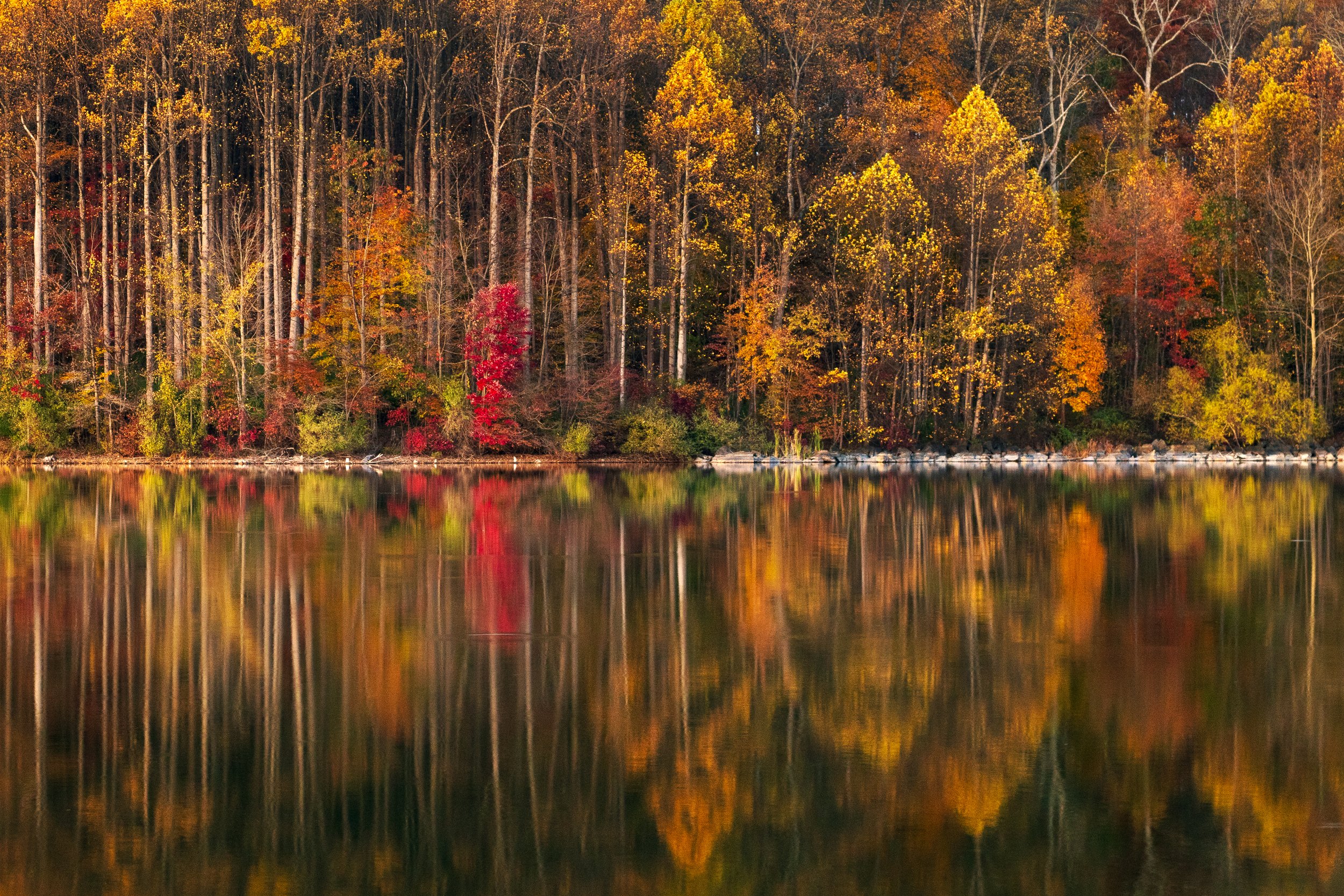 Autumn Reflection in Forest Lake - Click Link Below to Purchase Print