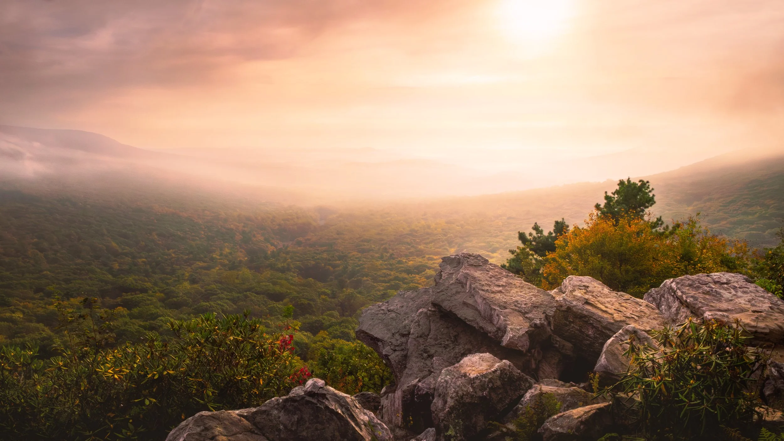 Hawk Mountain South Lookout.jpg