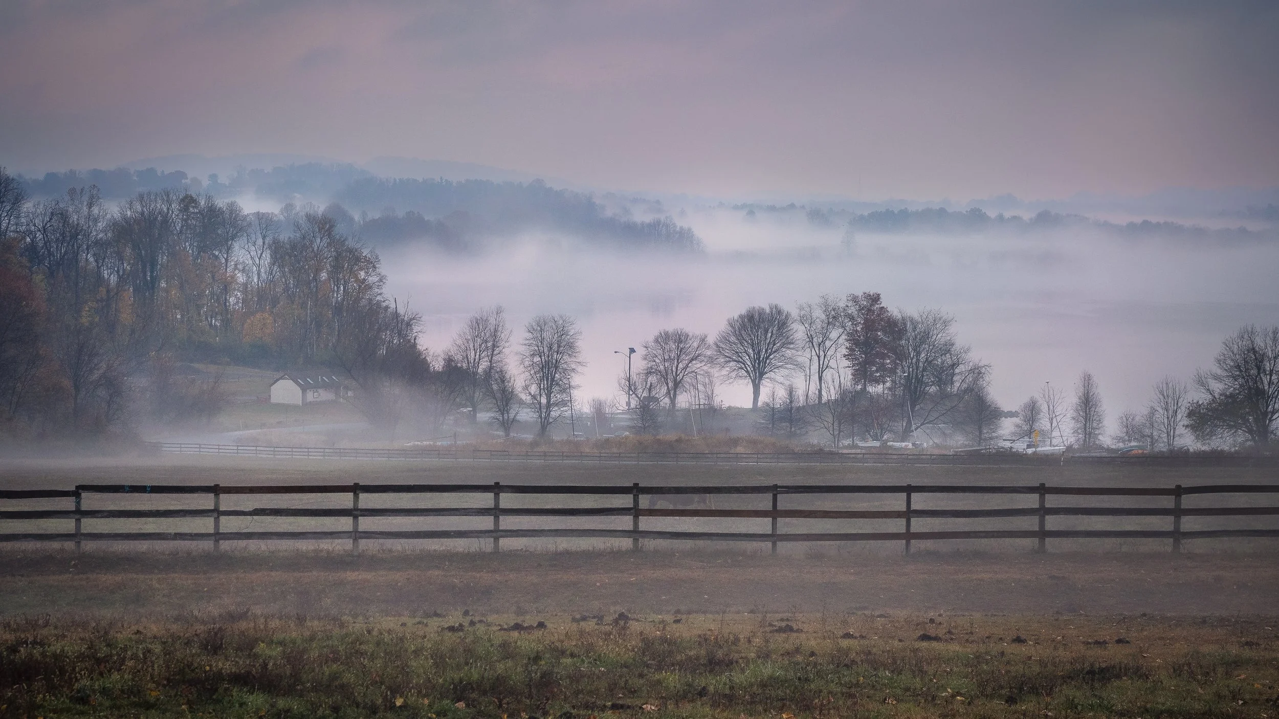 Marsh-Creek-Foggy-Morning-11-8-2025.jpg