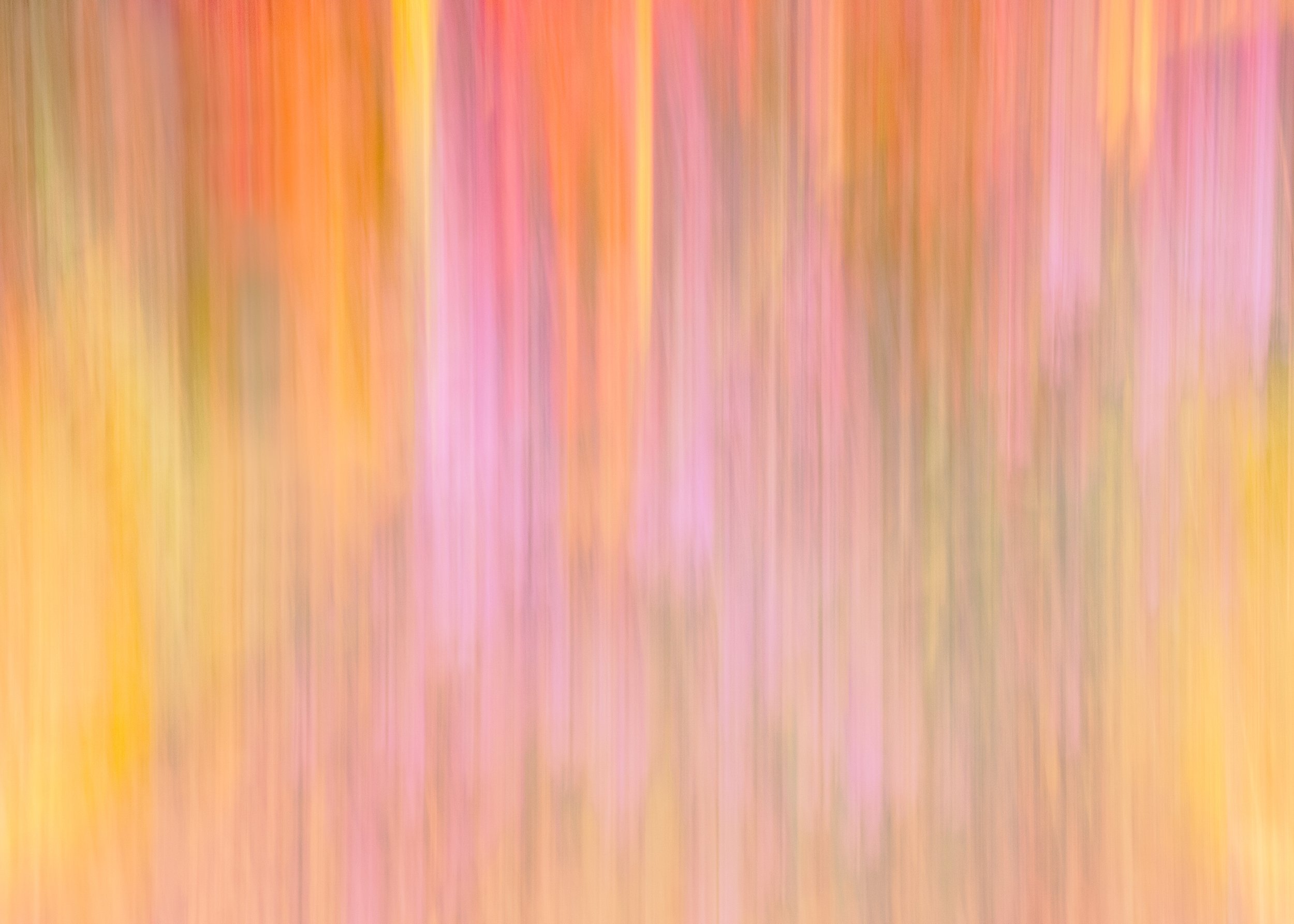 Pink Orange Yellow Abstract.jpg