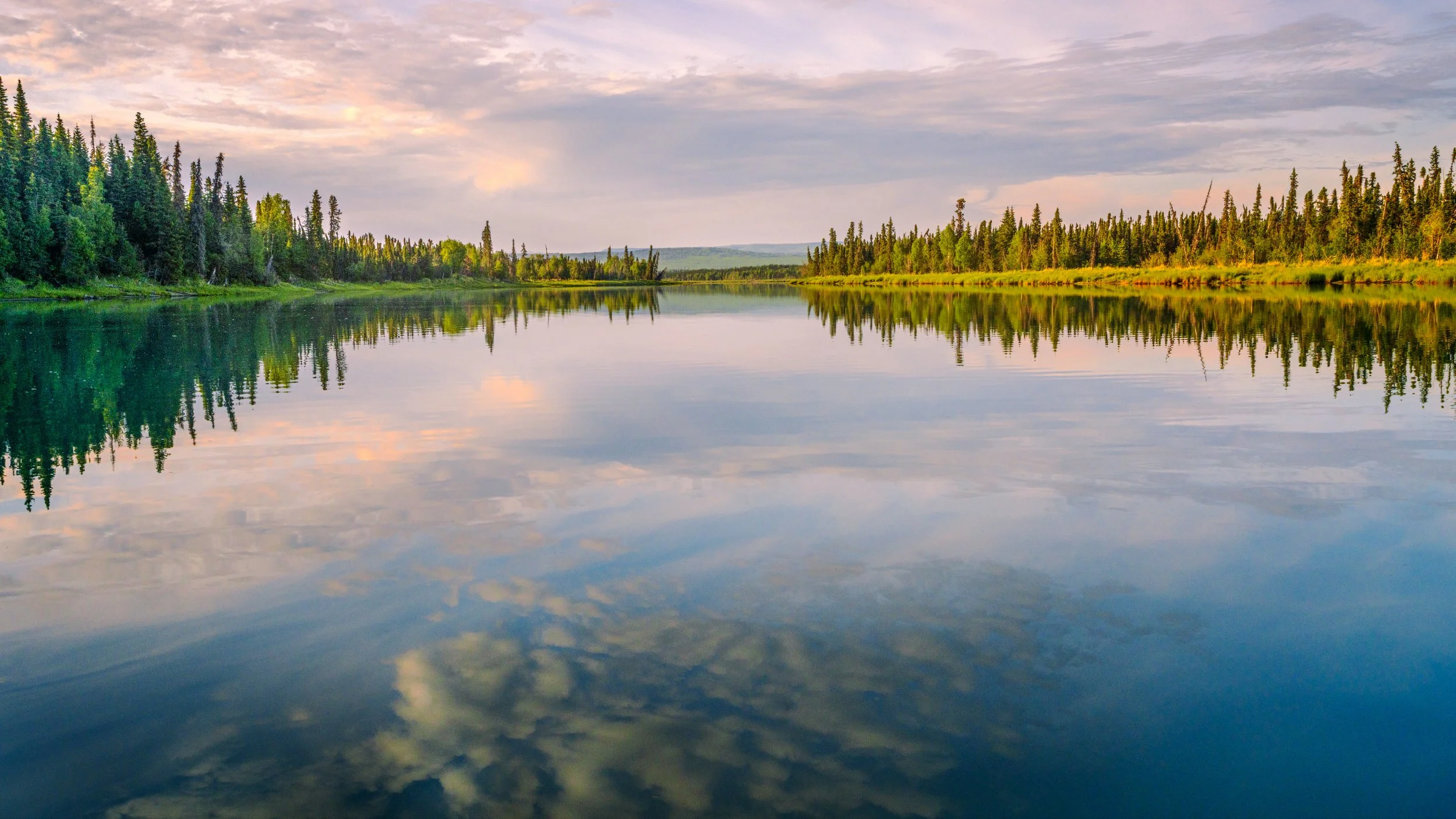 Kasilof-River-Landscape-06-2026.jpg