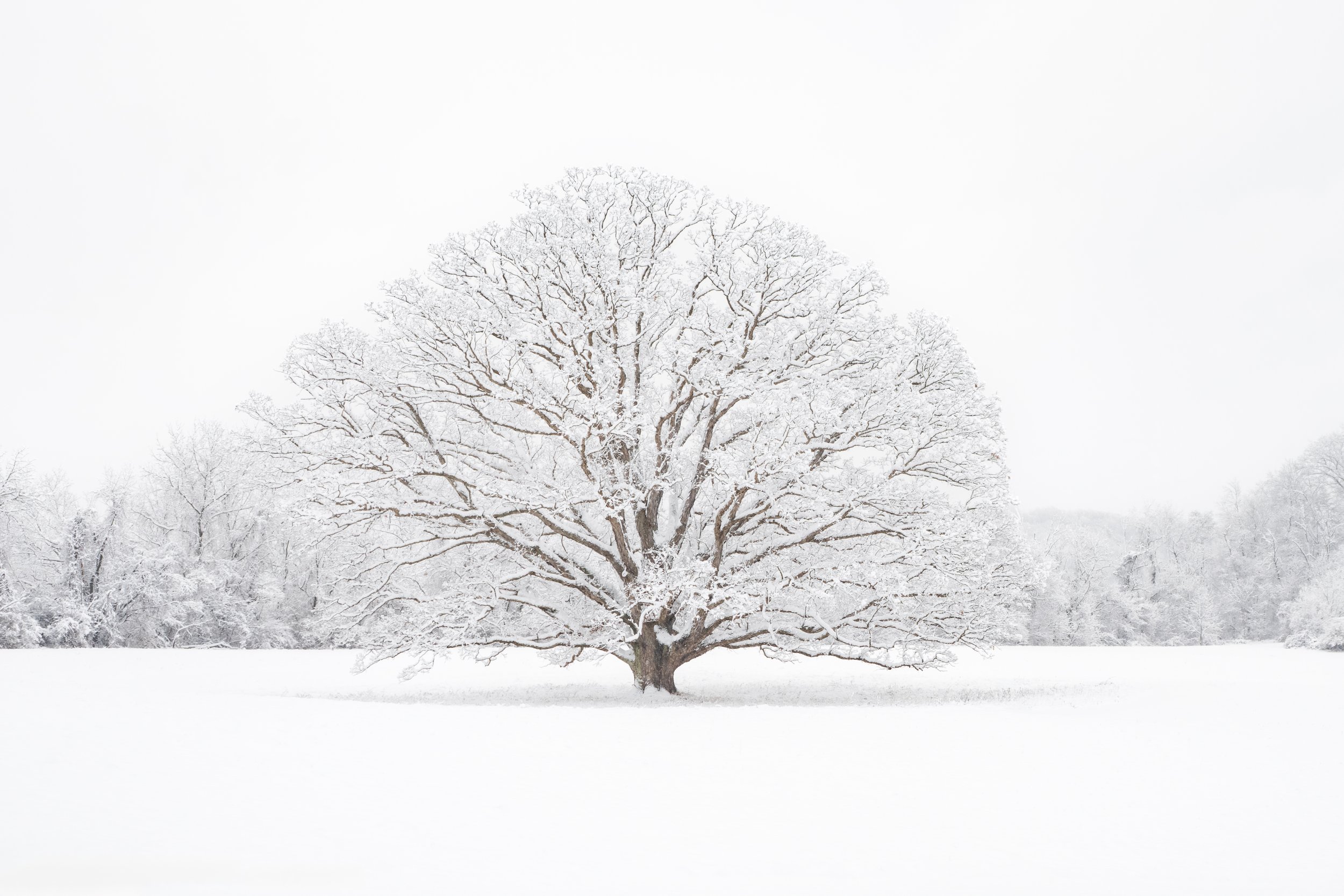 Chester County, Pennsylvania - A True Winter Wonderland