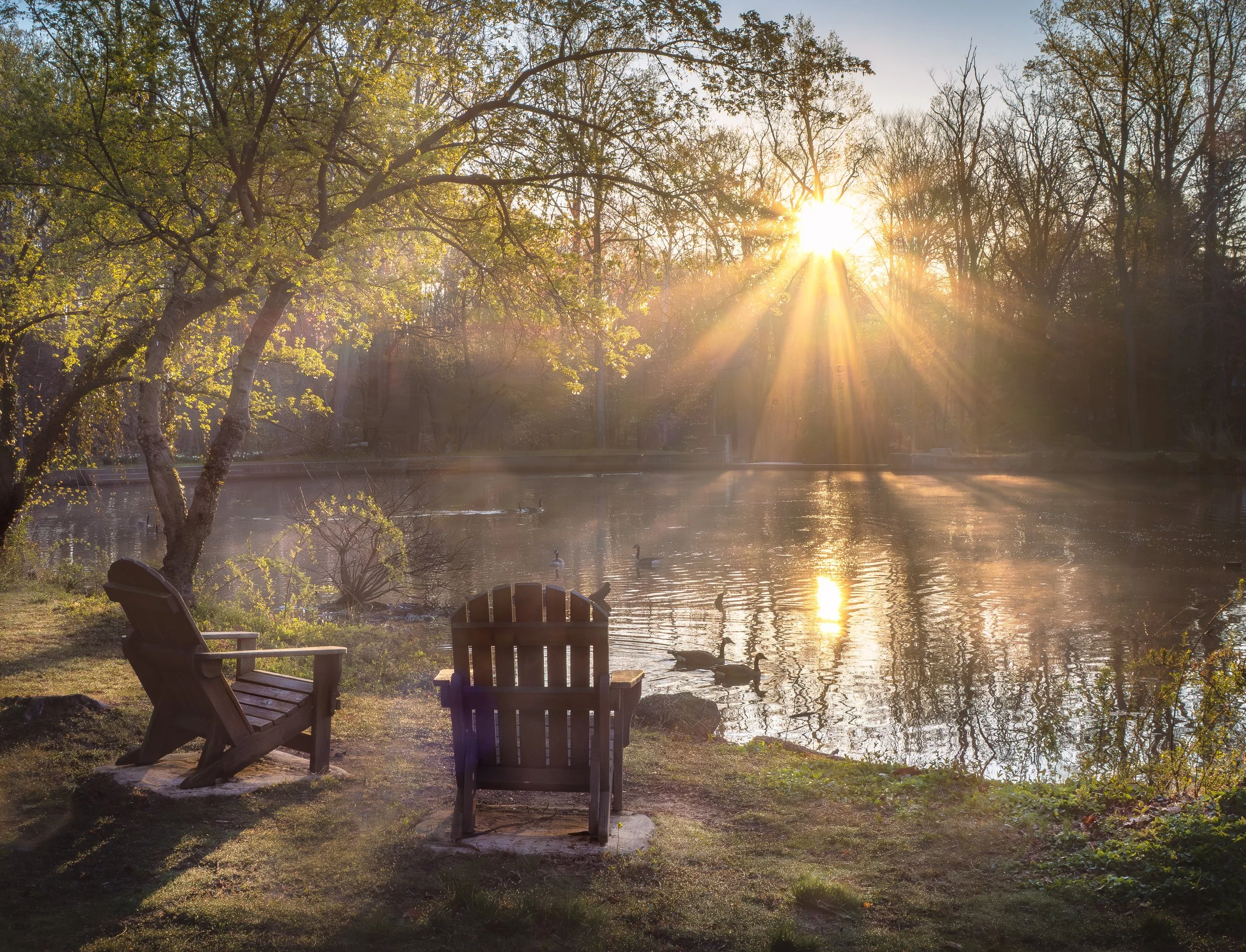 Brandywine-Springs-Park-04-12-2026.jpg