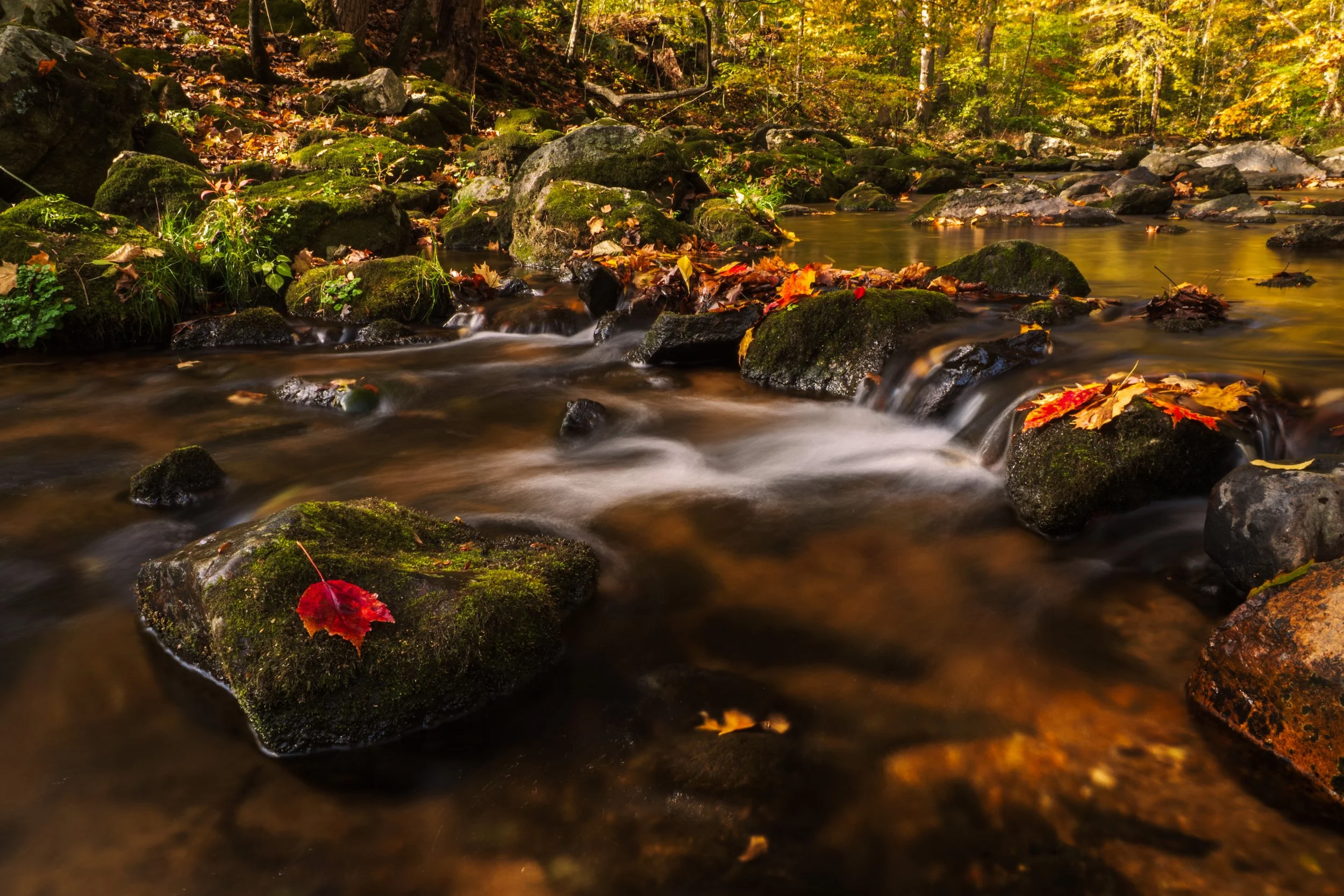 Indian Creek Springton S3 10 19 2025.jpg