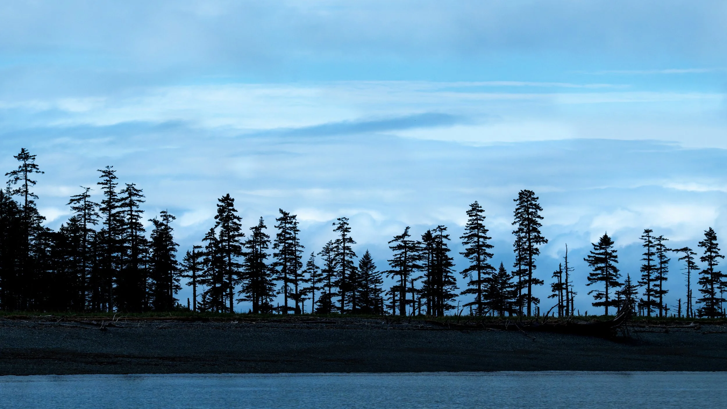 Tree-Silo-Seward-Alaska-Image-2-2026.jpg